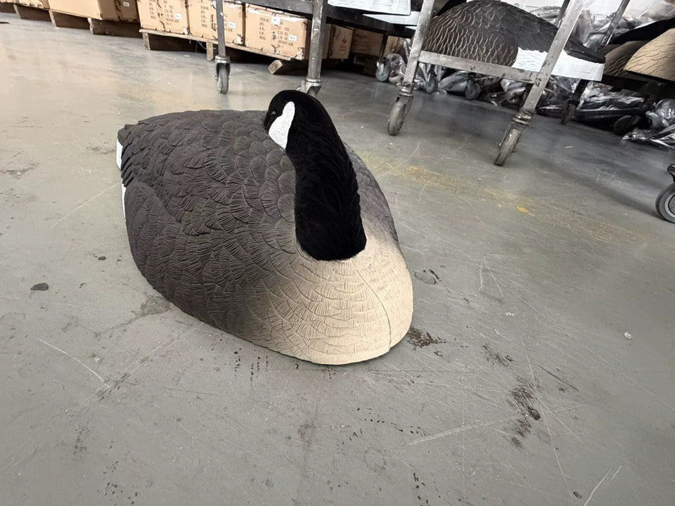 *PRE-ORDER SALE* Canada Goose Sleeper Shells "Per 6-Pack"
