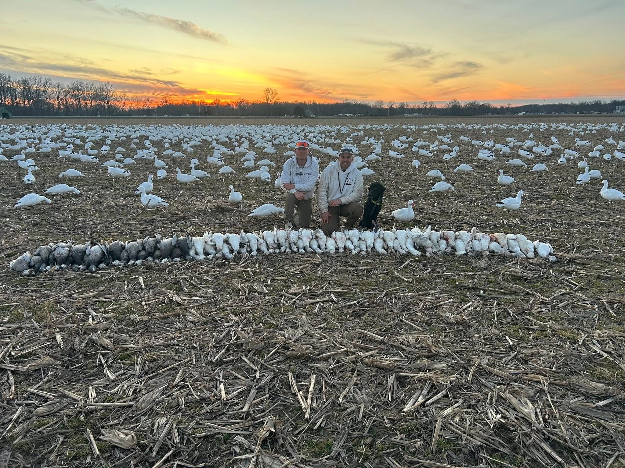 Full Body Snow Goose Decoys "PE Plastic" (hard body) - “Per 6-Pack”