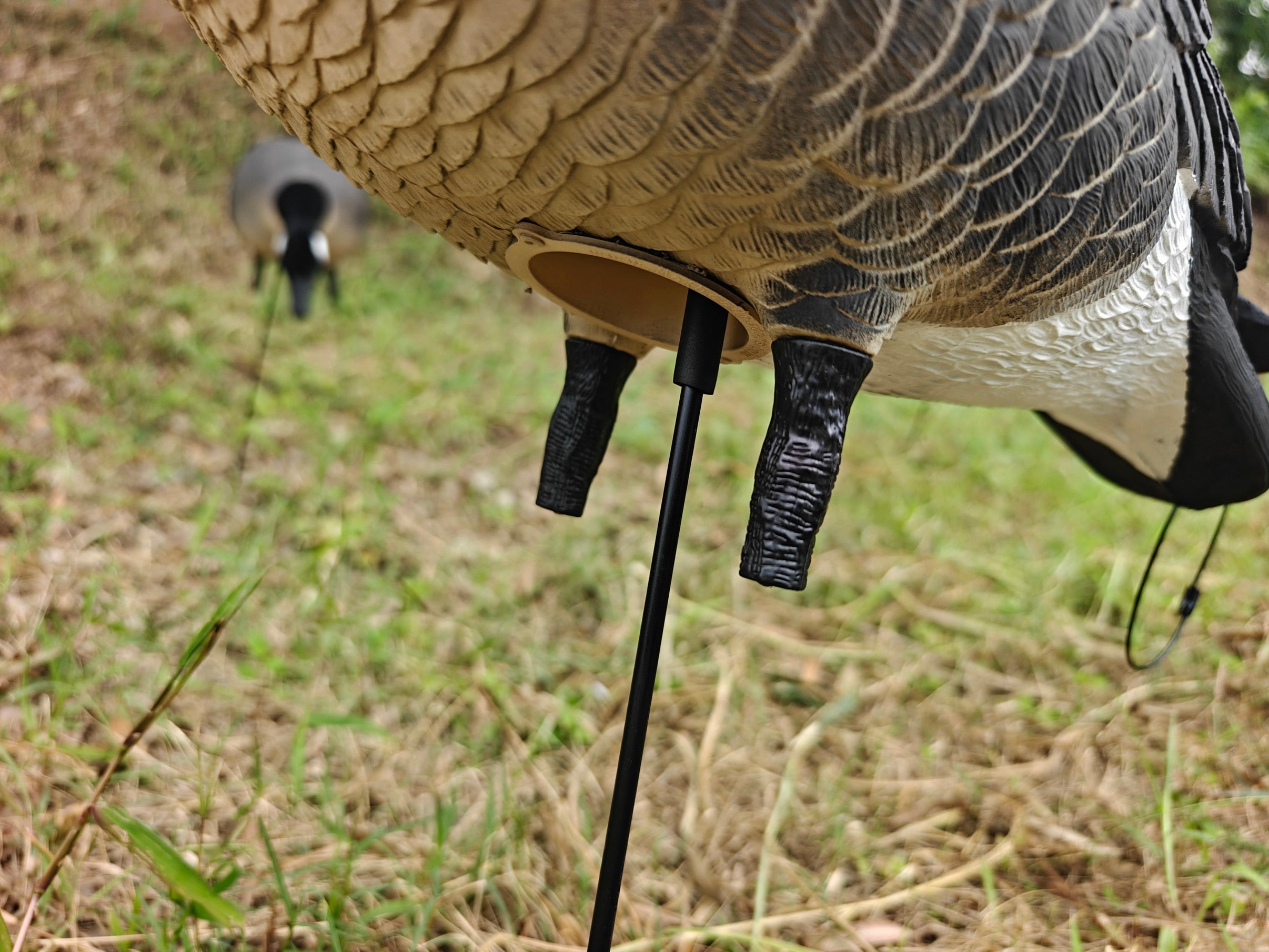 Full Body "Lesser" Canada Goose Decoys "PE Plastic" (hard body) - "Per 6-Pack"