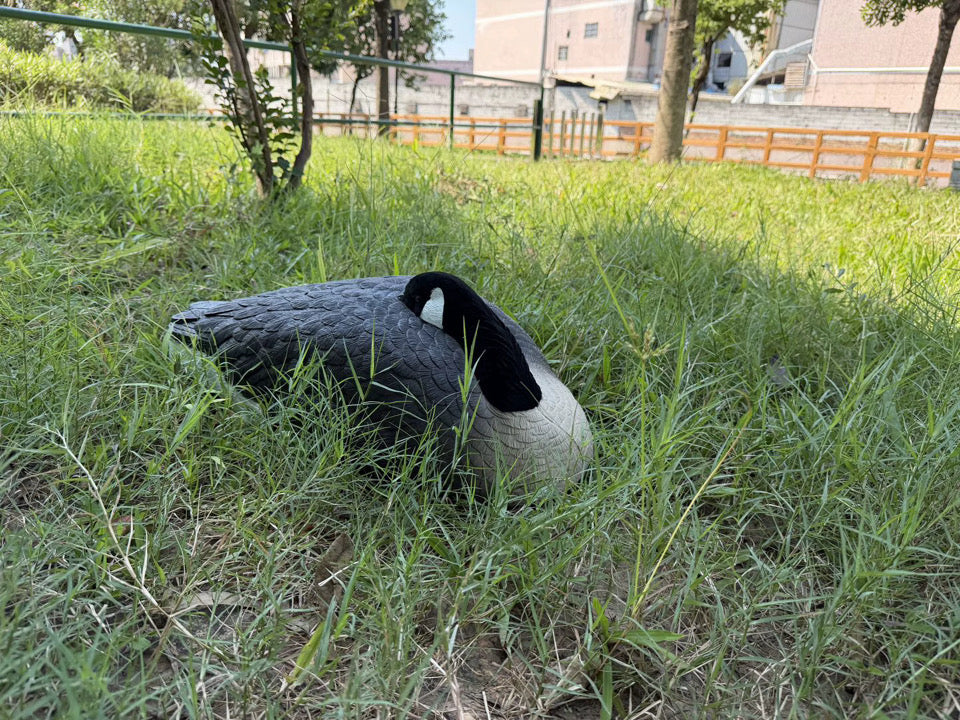 *PRE-ORDER SALE* Canada Goose Sleeper Shells "Per 6-Pack"
