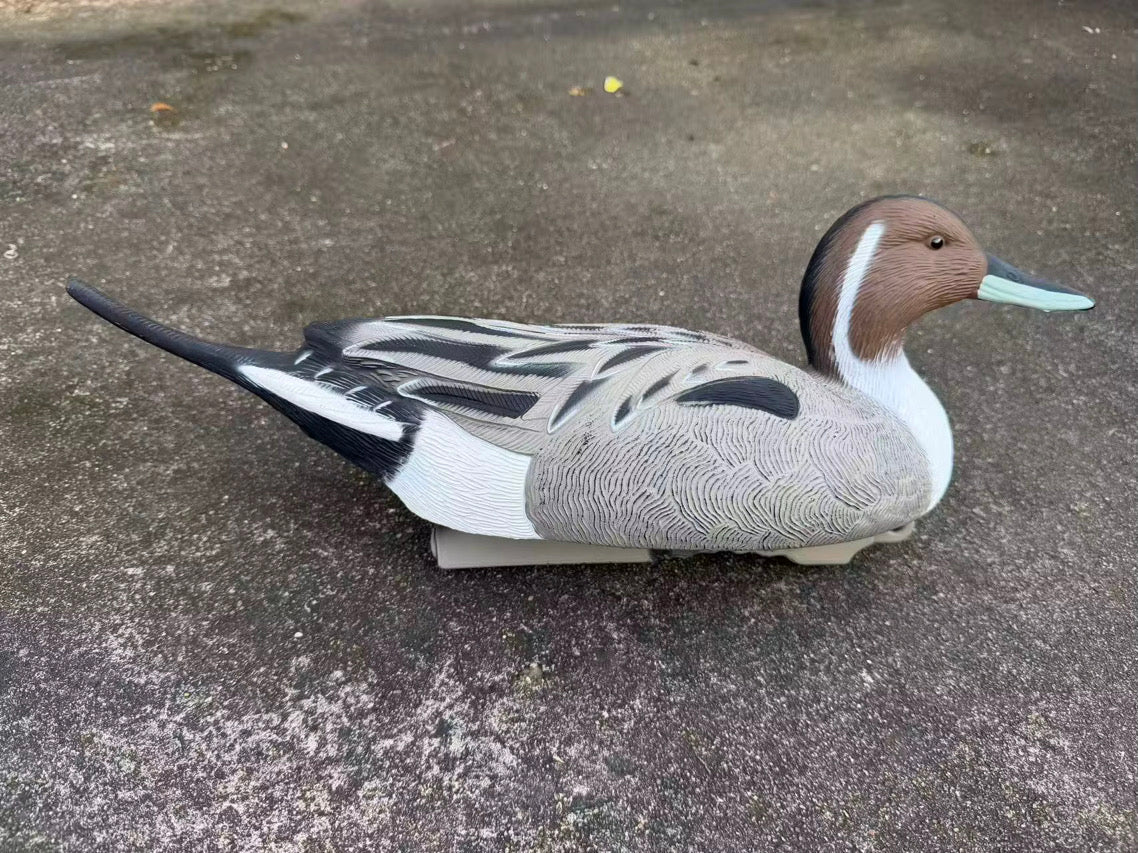 "Pre-Order Sale" Oversized Drake Pintail Duck - Floater Decoys “Per-Dozen”