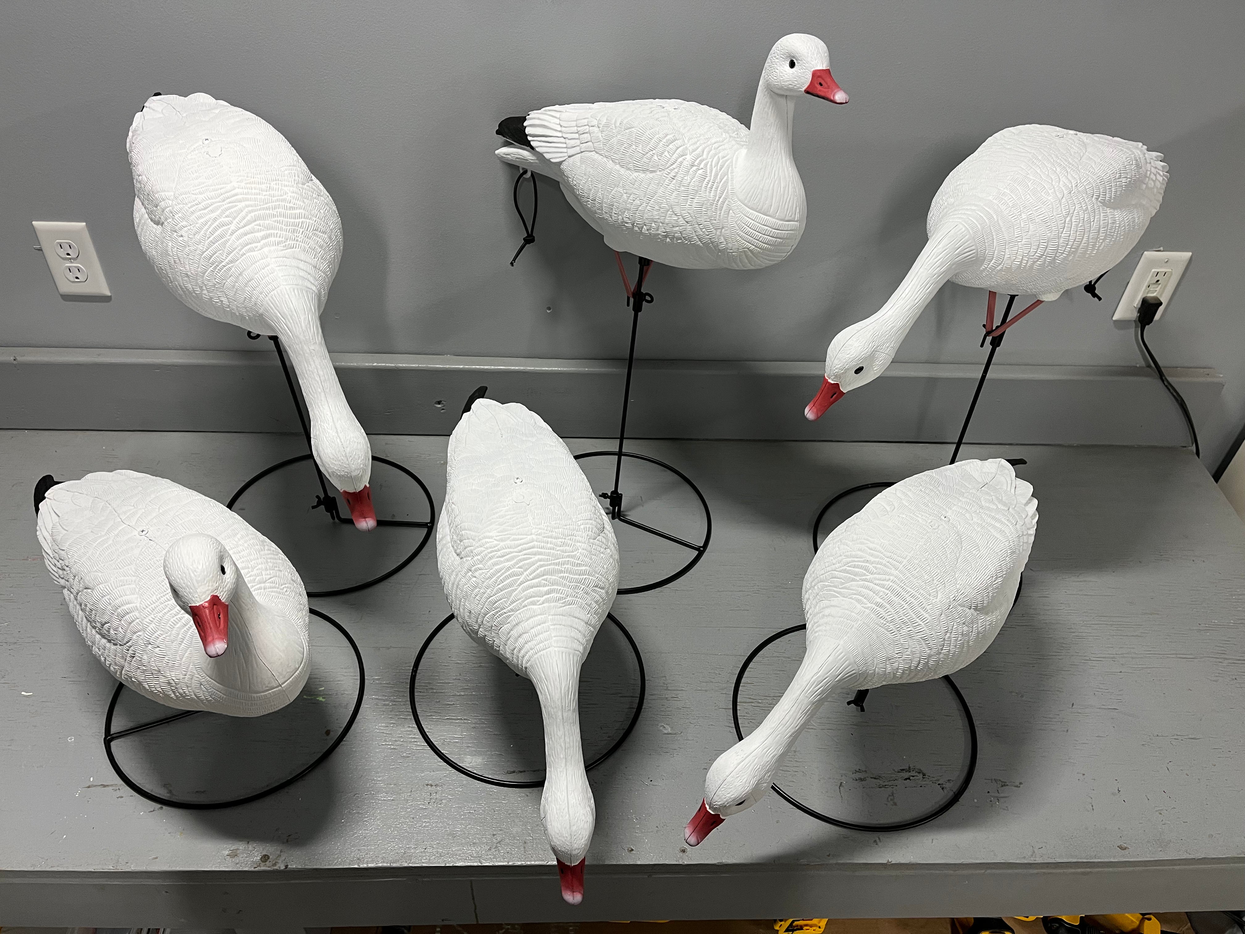 Full Body Snow Goose Decoys "PE PLASTIC" with Ring Bases - "Per 6-Pack
