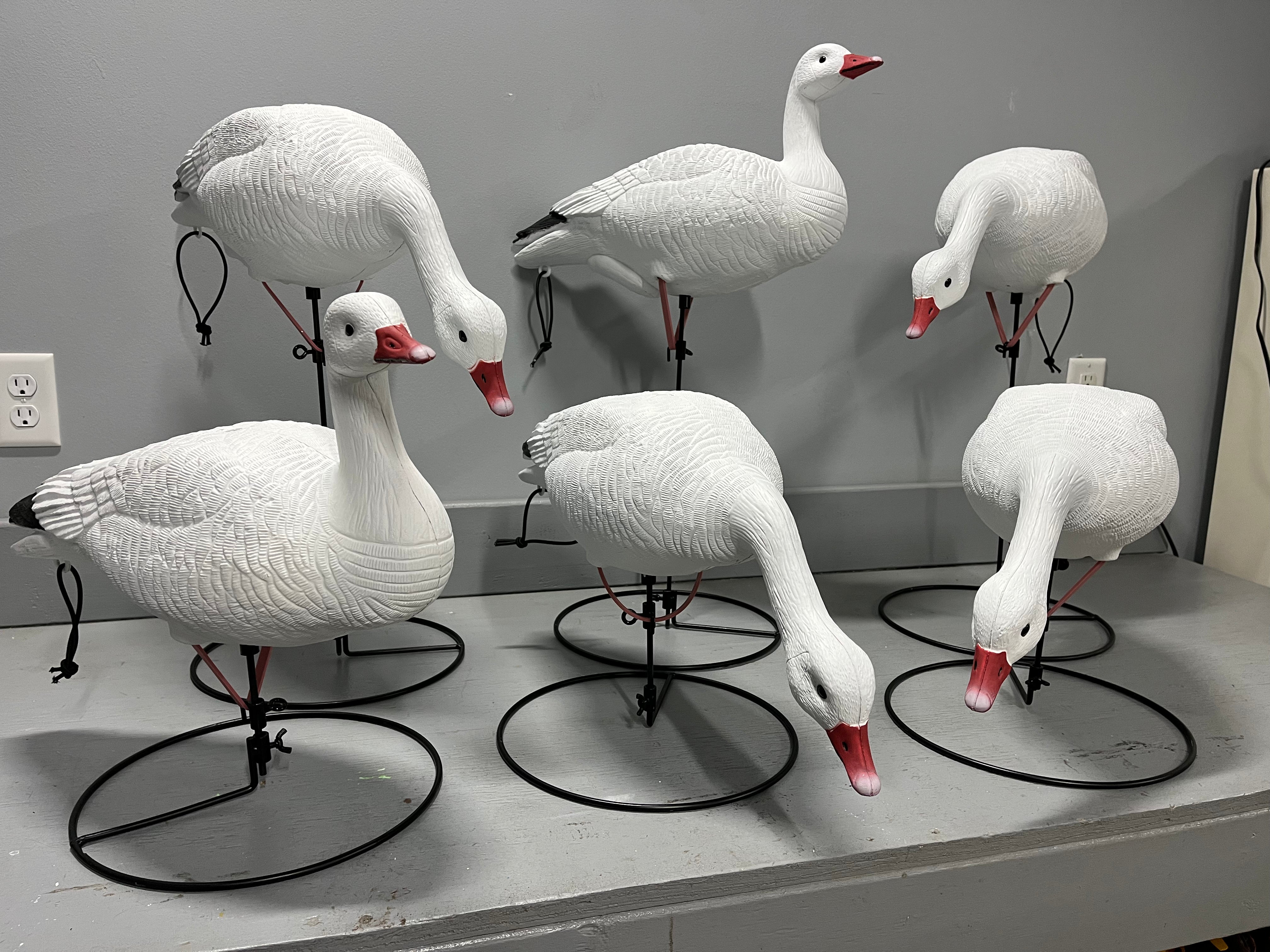Full Body Snow Goose Decoys "PE PLASTIC" with Ring Bases - "Per 6-Pack