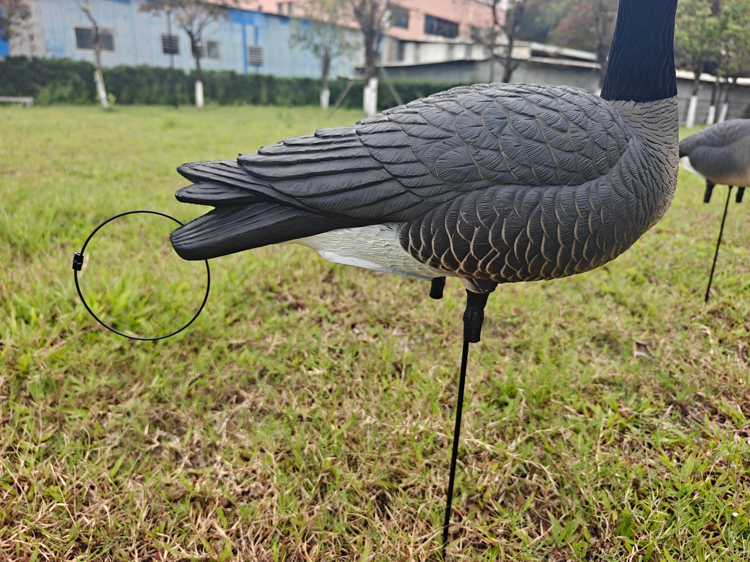 Full Body "Open Mouth" Lesser Canada Goose Decoys "PE Plastic" (hard body) - "Per 4-Pack"