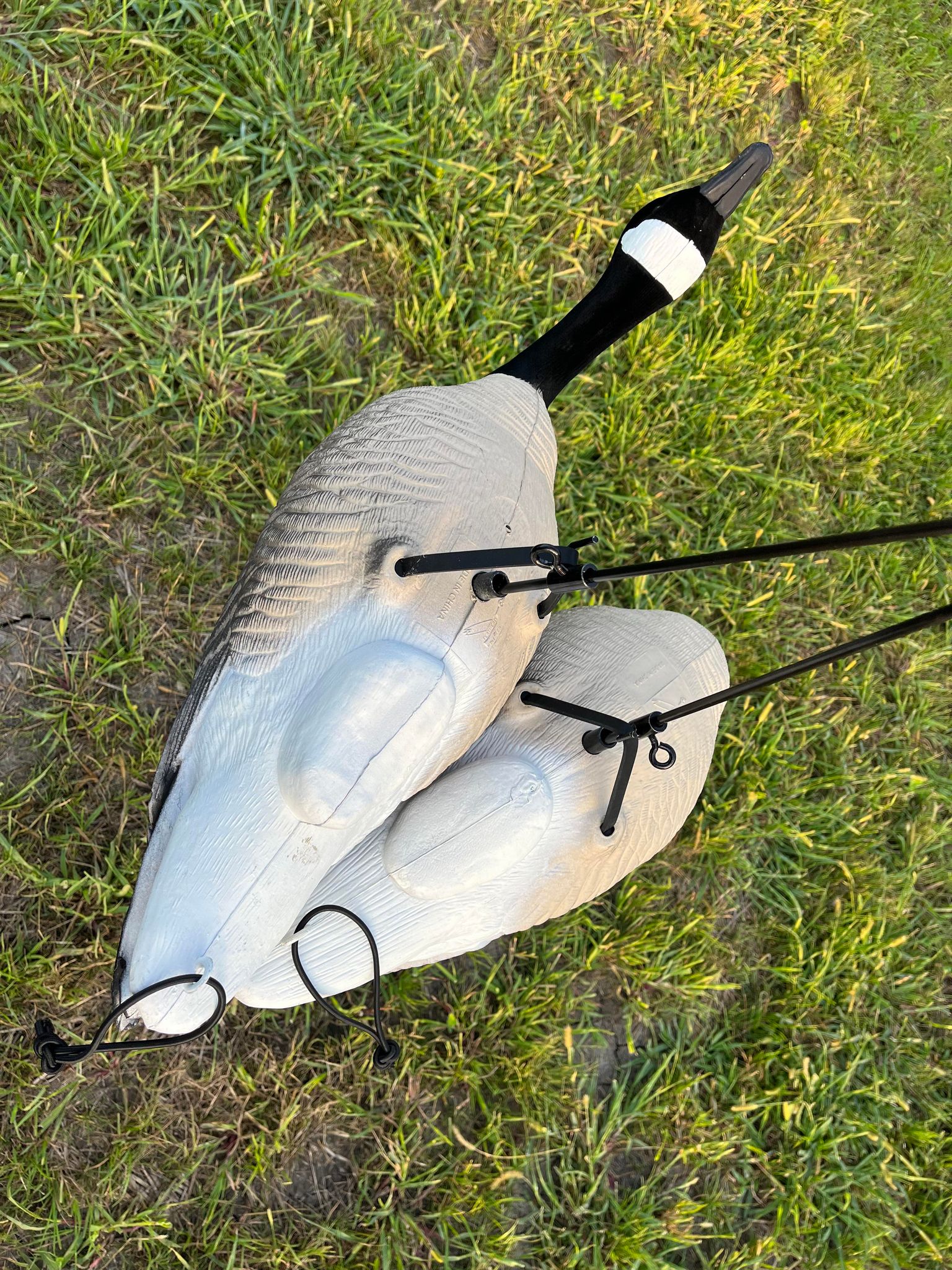 Replacement Bands for (PE) Full Body Decoys - "Per Dozen"