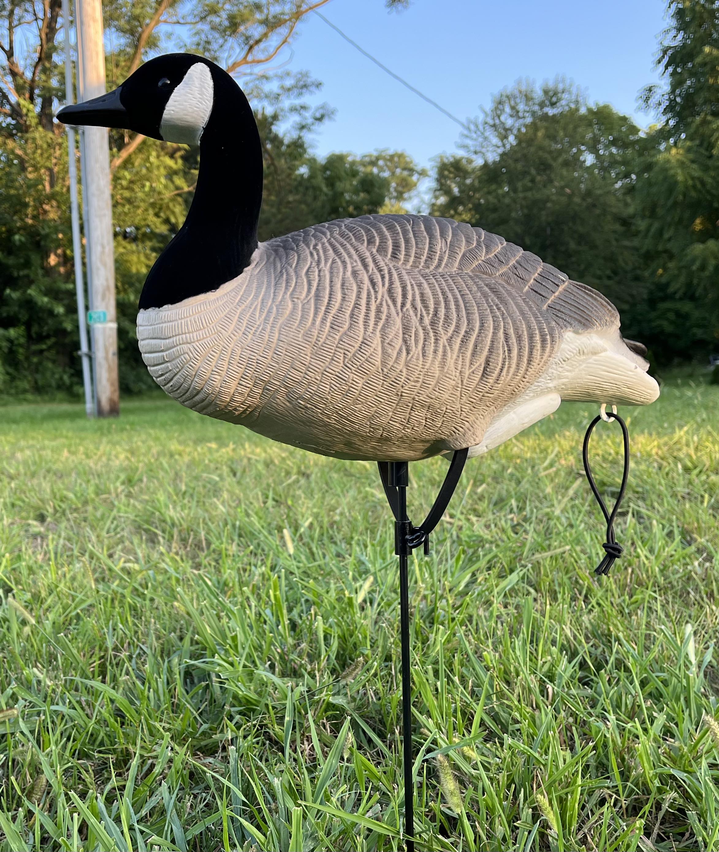 Full body canada discount goose decoys for sale