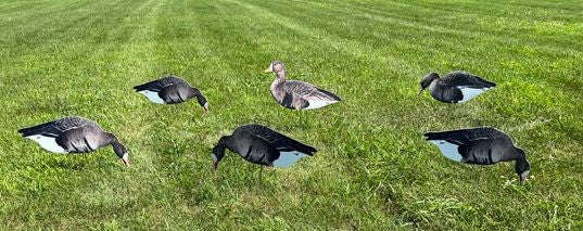 Fully Flocked Specklebelly Silhouette Decoys - "Per Dozen"