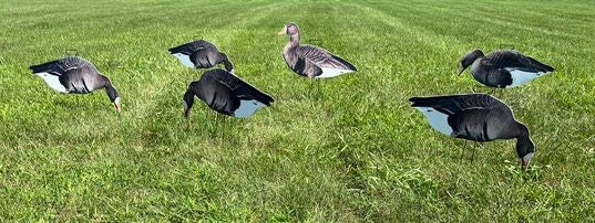 Fully Flocked Specklebelly Silhouette Decoys - "Per Dozen"