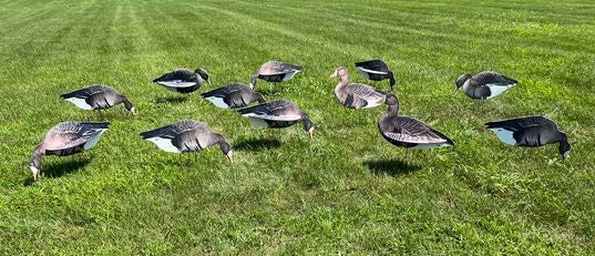 Fully Flocked Specklebelly Silhouette Decoys - "Per Dozen"