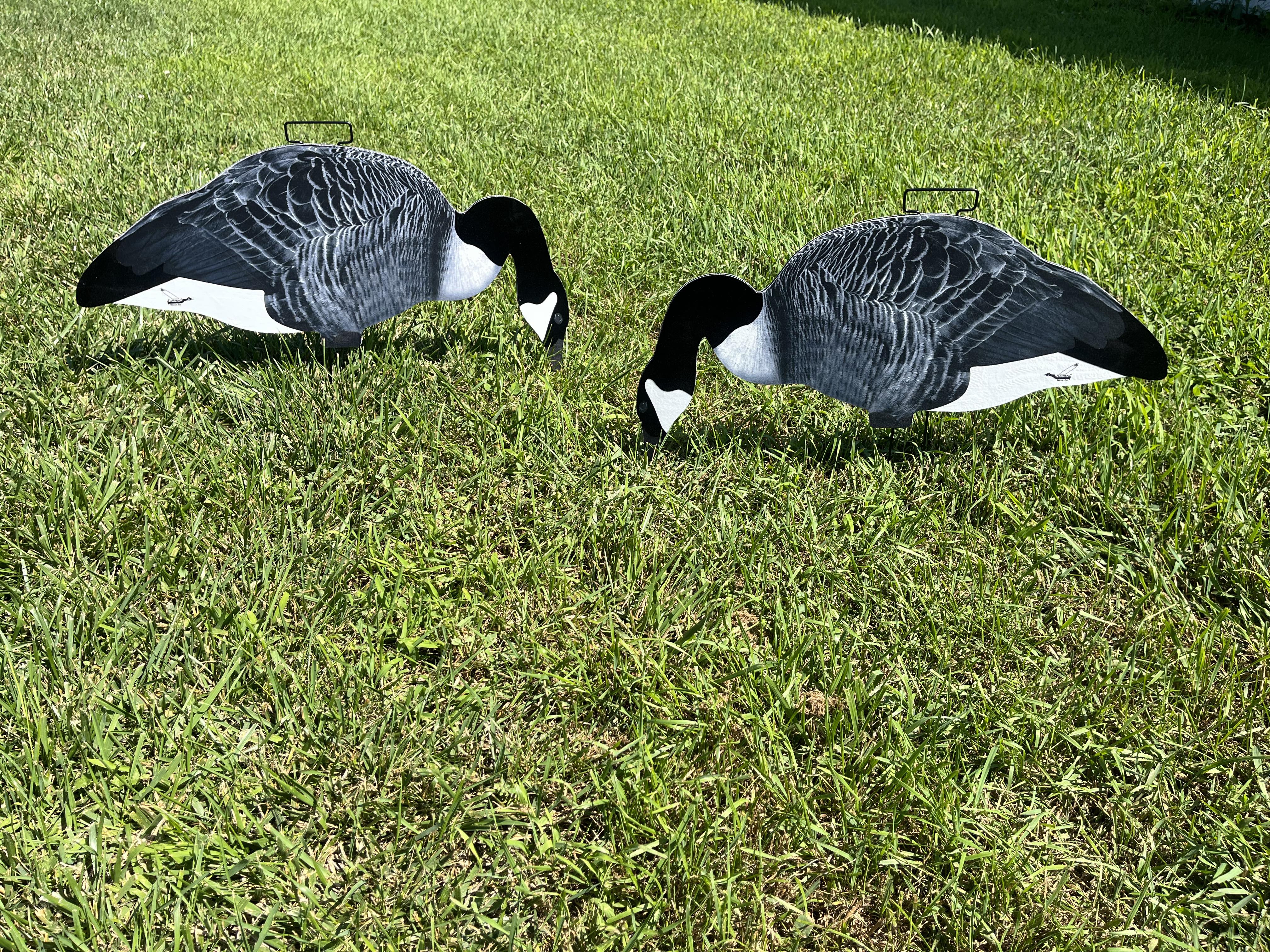 Canada Goose Silhouette Decoys - Per Dozen