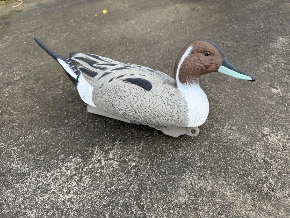 "Pre-Order Sale" Oversized Drake Pintail Duck - Floater Decoys “Per-Dozen”