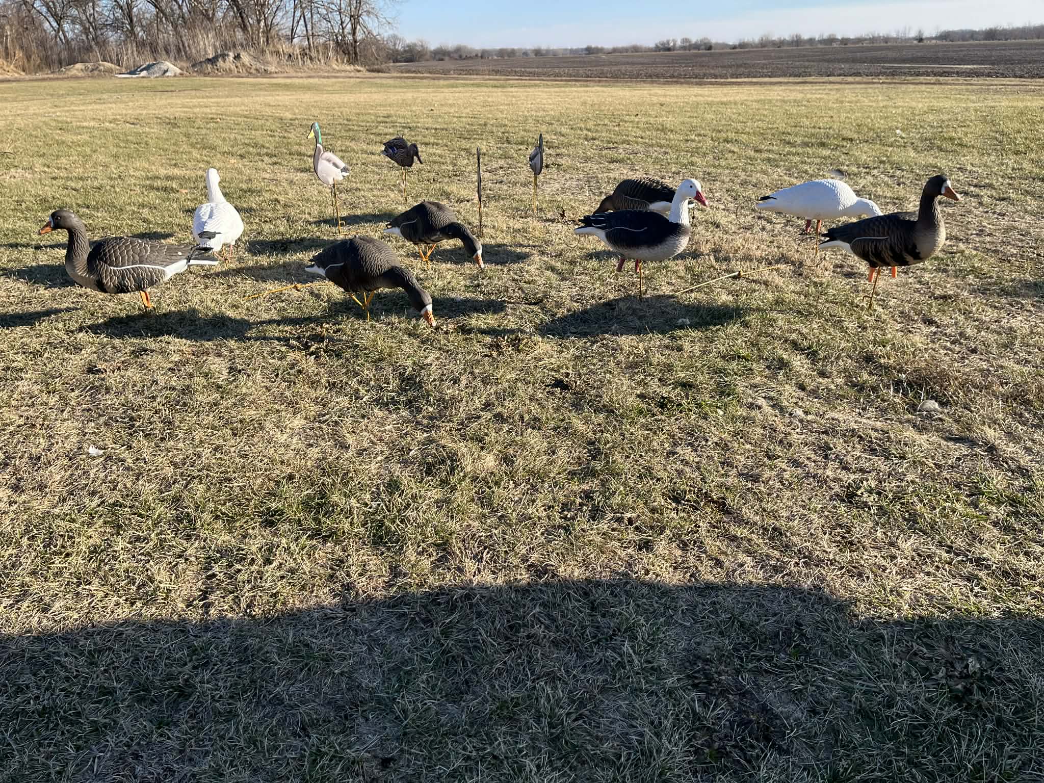 RAPID RACK - Decoy Deployment System (3-Pack - holds 12 decoys)