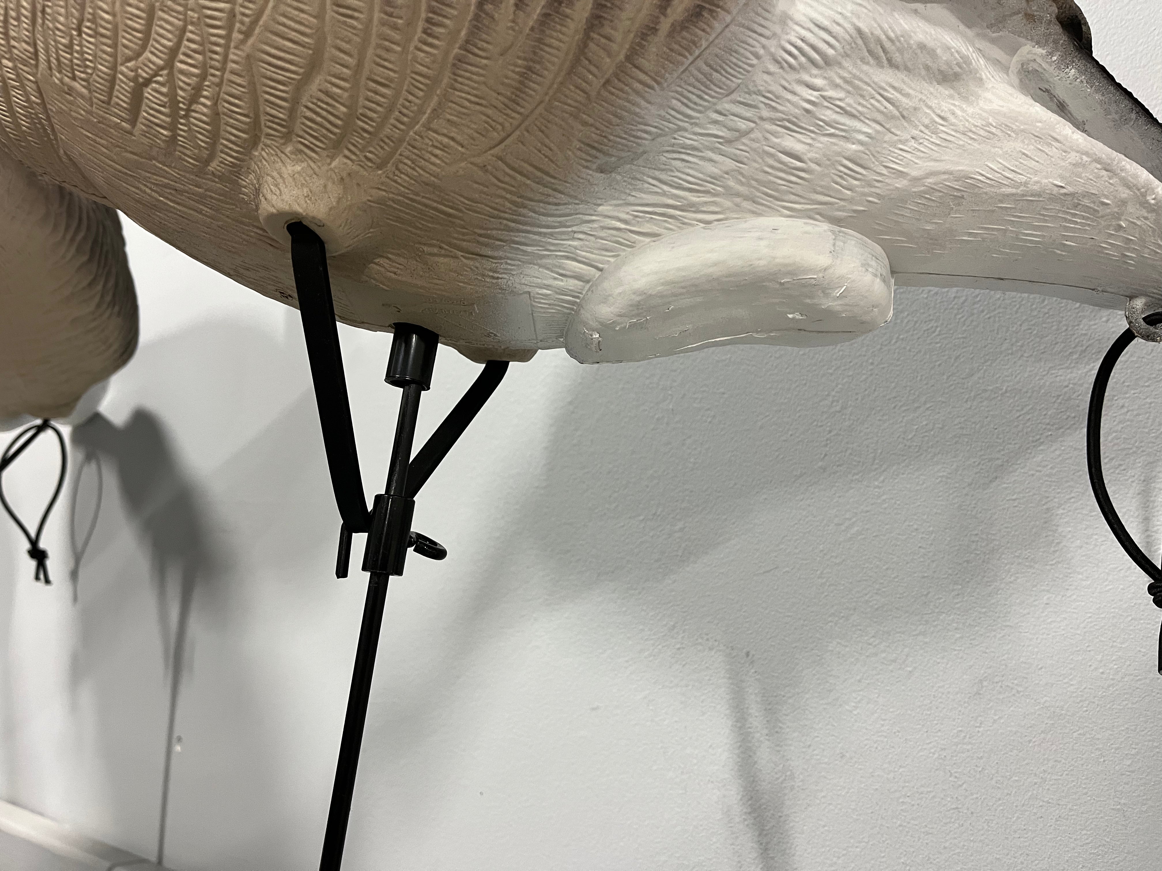Full Body Canada Goose Decoys "PE PLASTIC" with Ring Bases - "Per 6-Pa