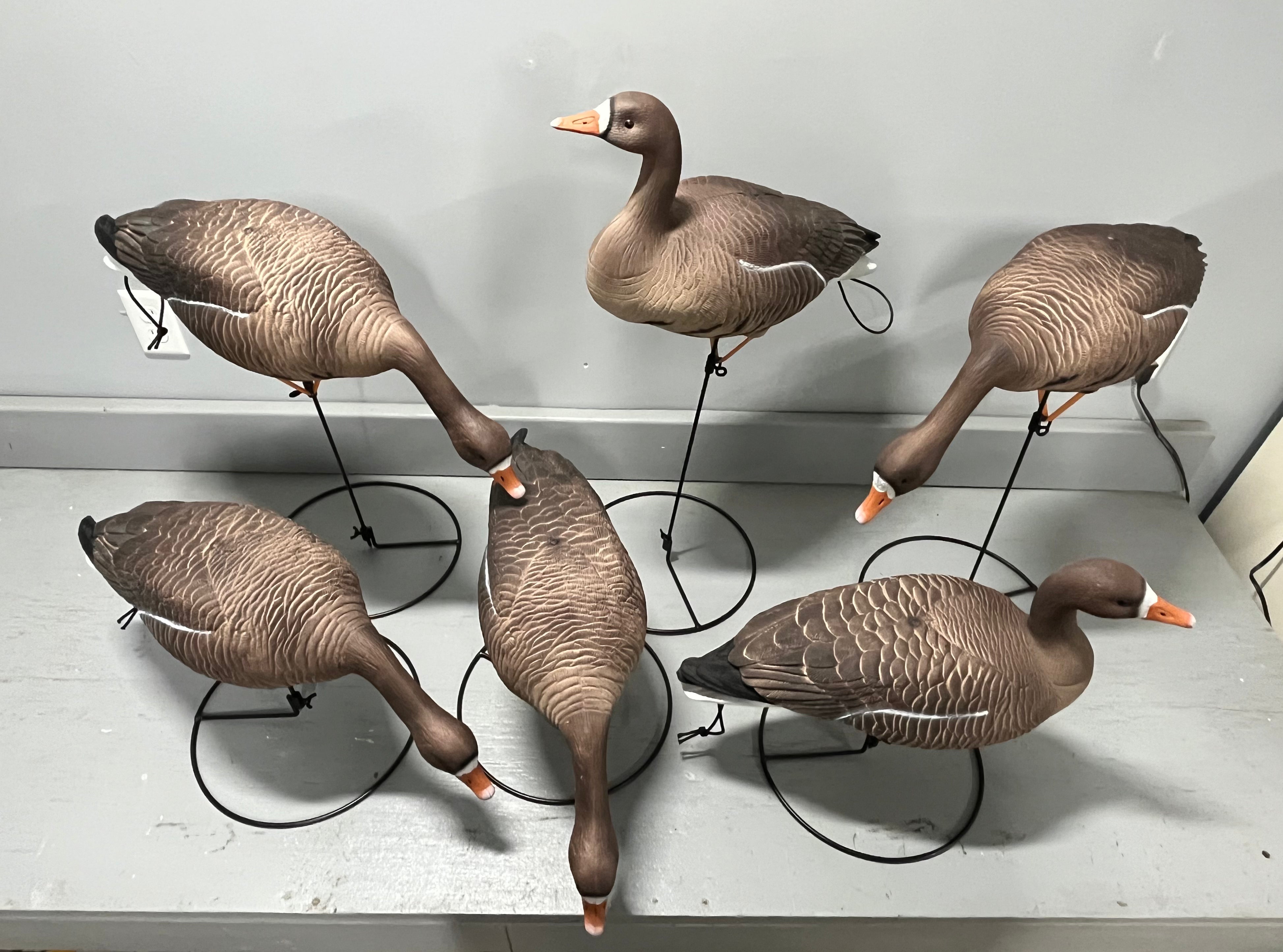 Full Body Specklebelly Goose Decoys "PE PLASTIC" with Ring Bases - "Pe