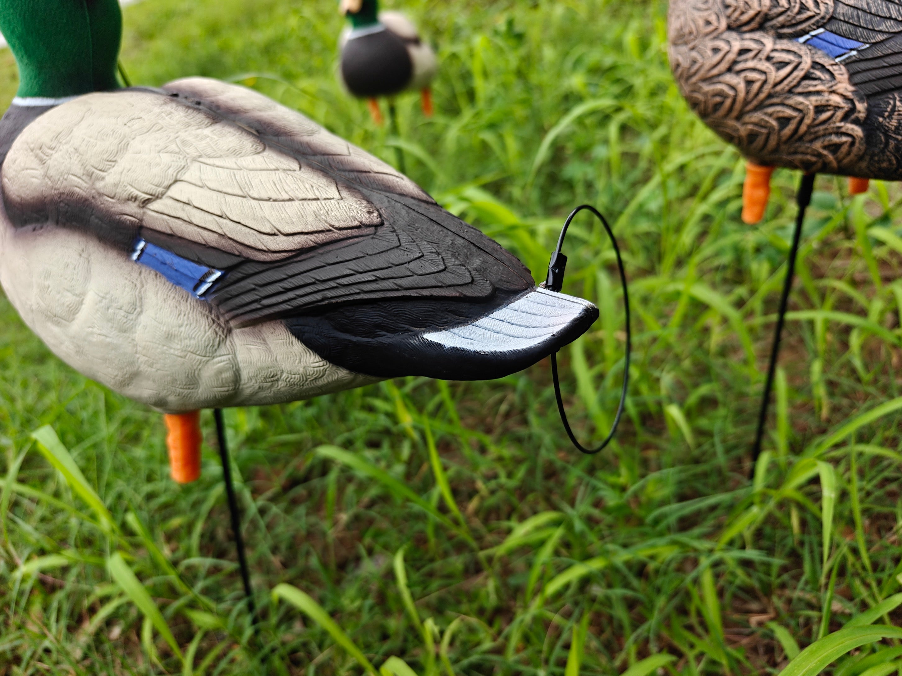 * PRE-ORDER SALE * "MAGNUM" Full Body Field Mallard Duck Decoys “PE Plastic” (hard body) FLOCKED HEADS ON DRAKES