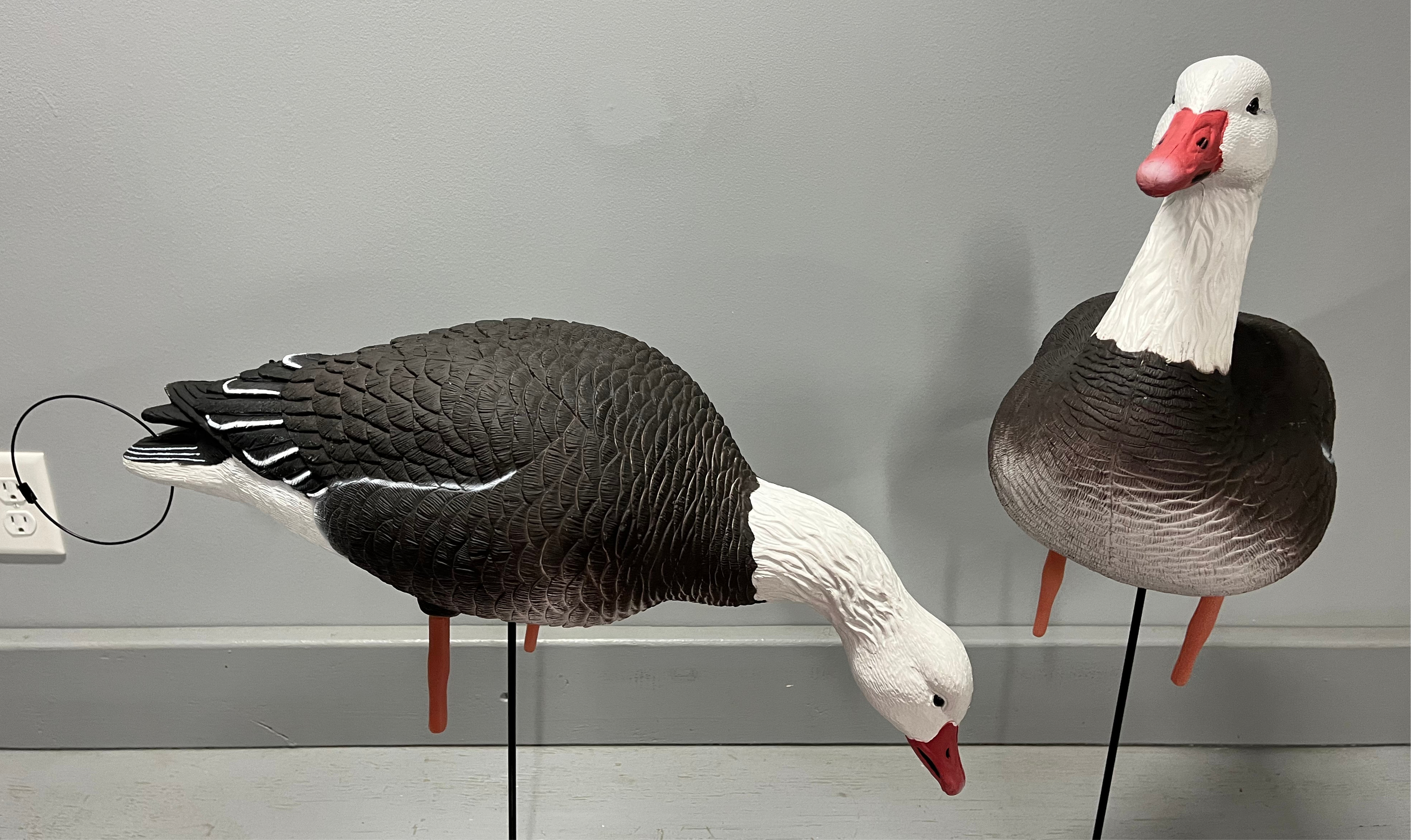 “PRE-ORDER SALE” Full Body Blue Goose Decoys "PE Plastic" (hard body) - "Per 6-Pack"