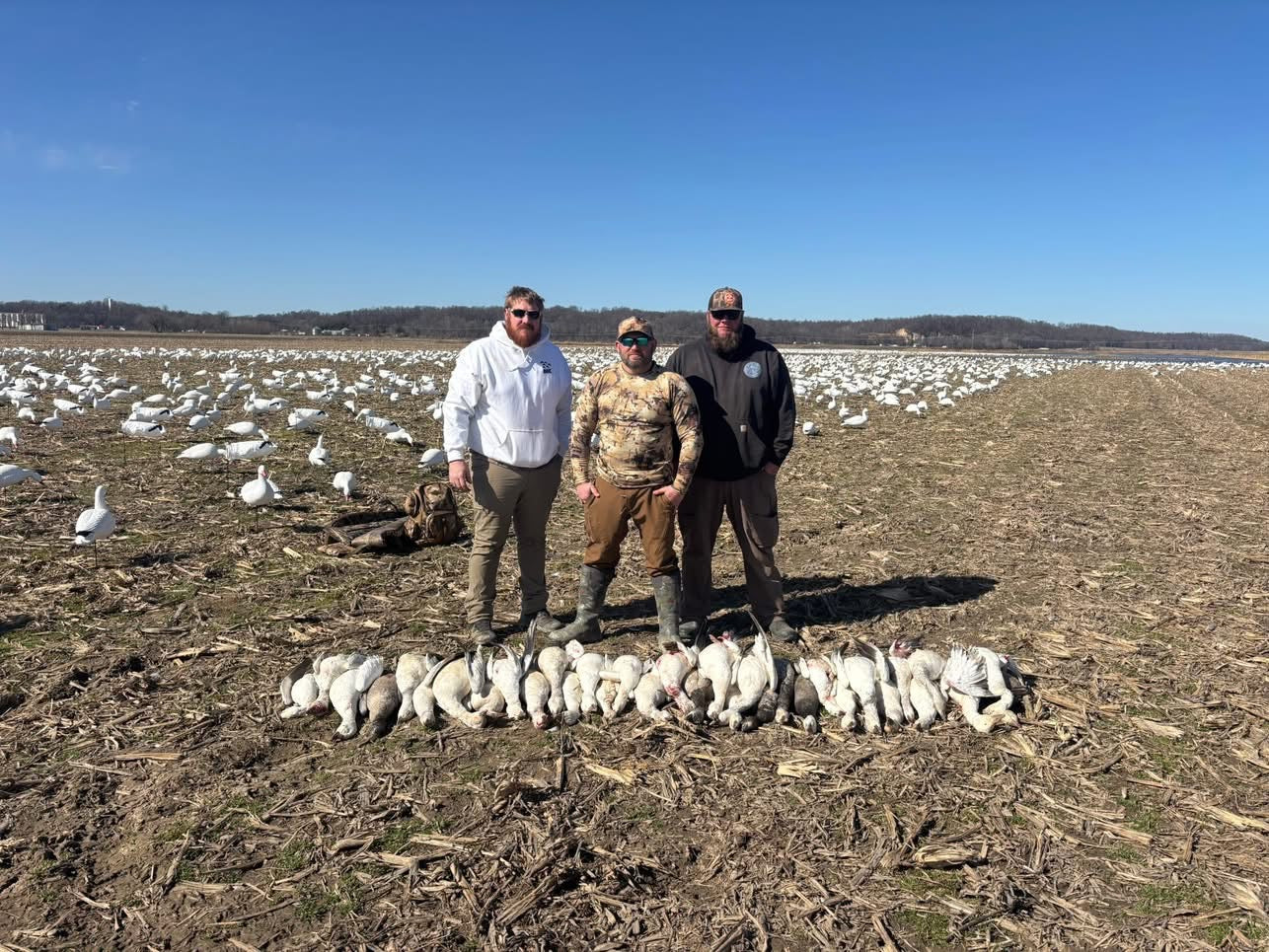 Full Body Snow Goose Decoys "PE Plastic" (hard body) with Square Bases - "Per 6-Pack"