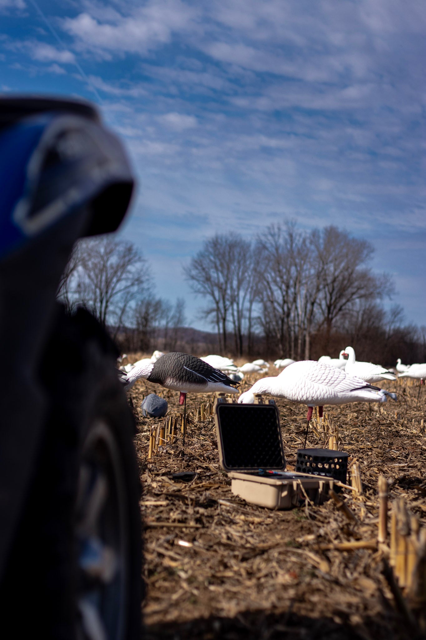Full Body Snow Goose Decoys "PE Plastic" (hard body) with Square Bases - "Per 6-Pack"