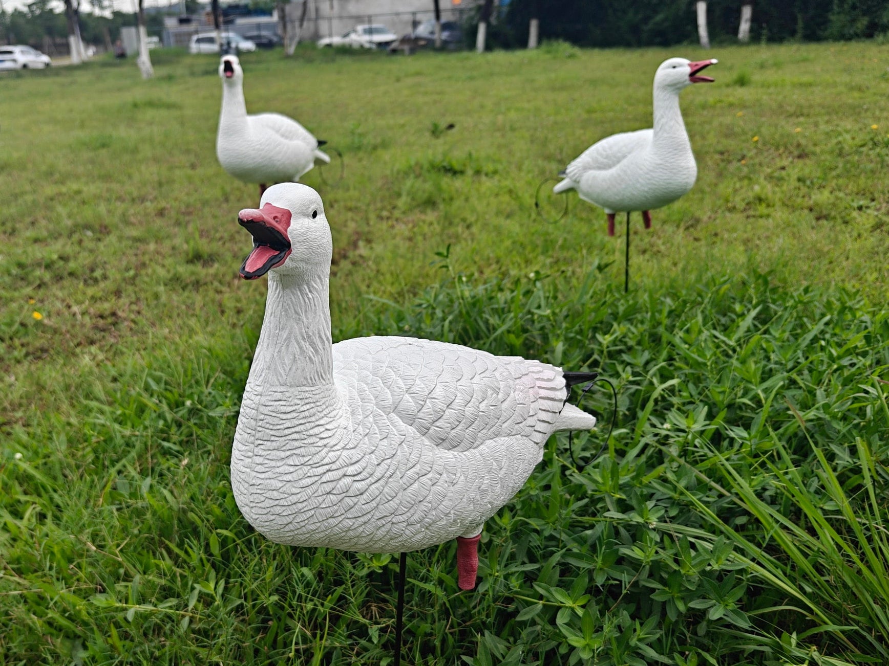 Full Body "Open Mouth" Snow Goose Decoys "PE Plastic" (hard body) - "Per 4-Pack"
