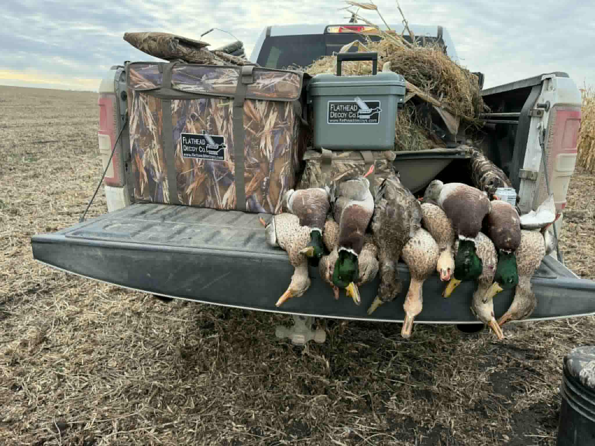 Mallard Duck Silhouette Decoys "Per Dozen"