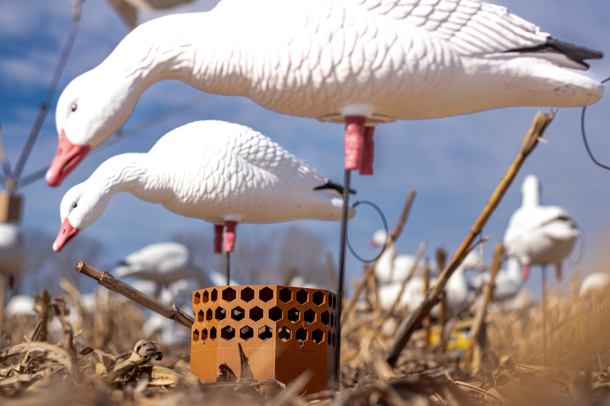Full Body Snow Goose Decoys "PE Plastic" (hard body) with Square Bases - "Per 6-Pack"