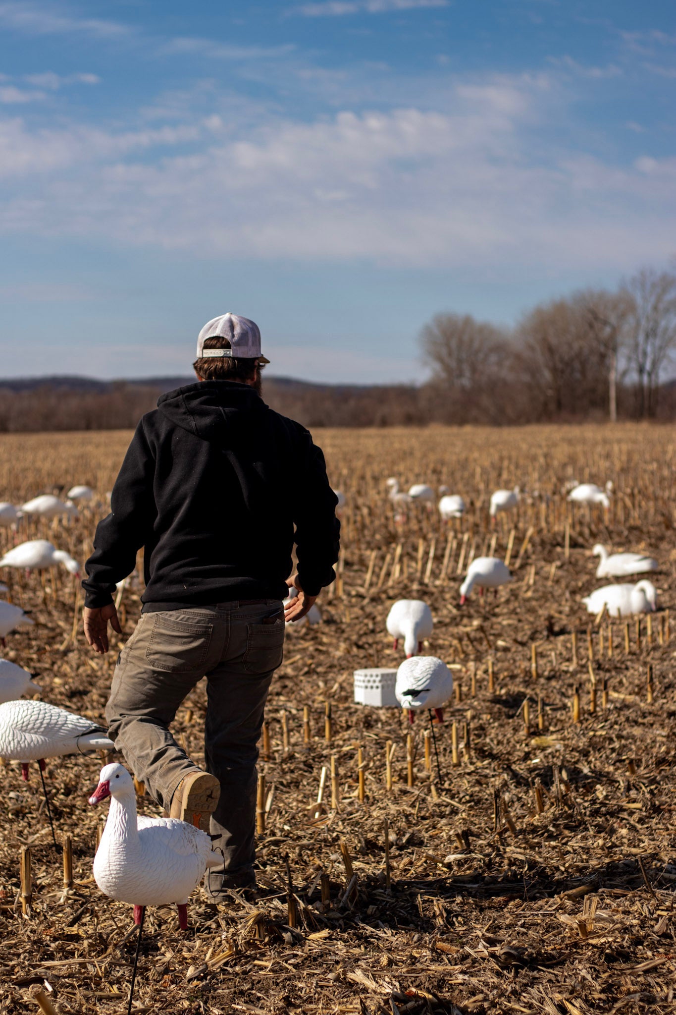 Full Body Snow Goose Decoys "PE Plastic" (hard body) with Square Bases - "Per 6-Pack"