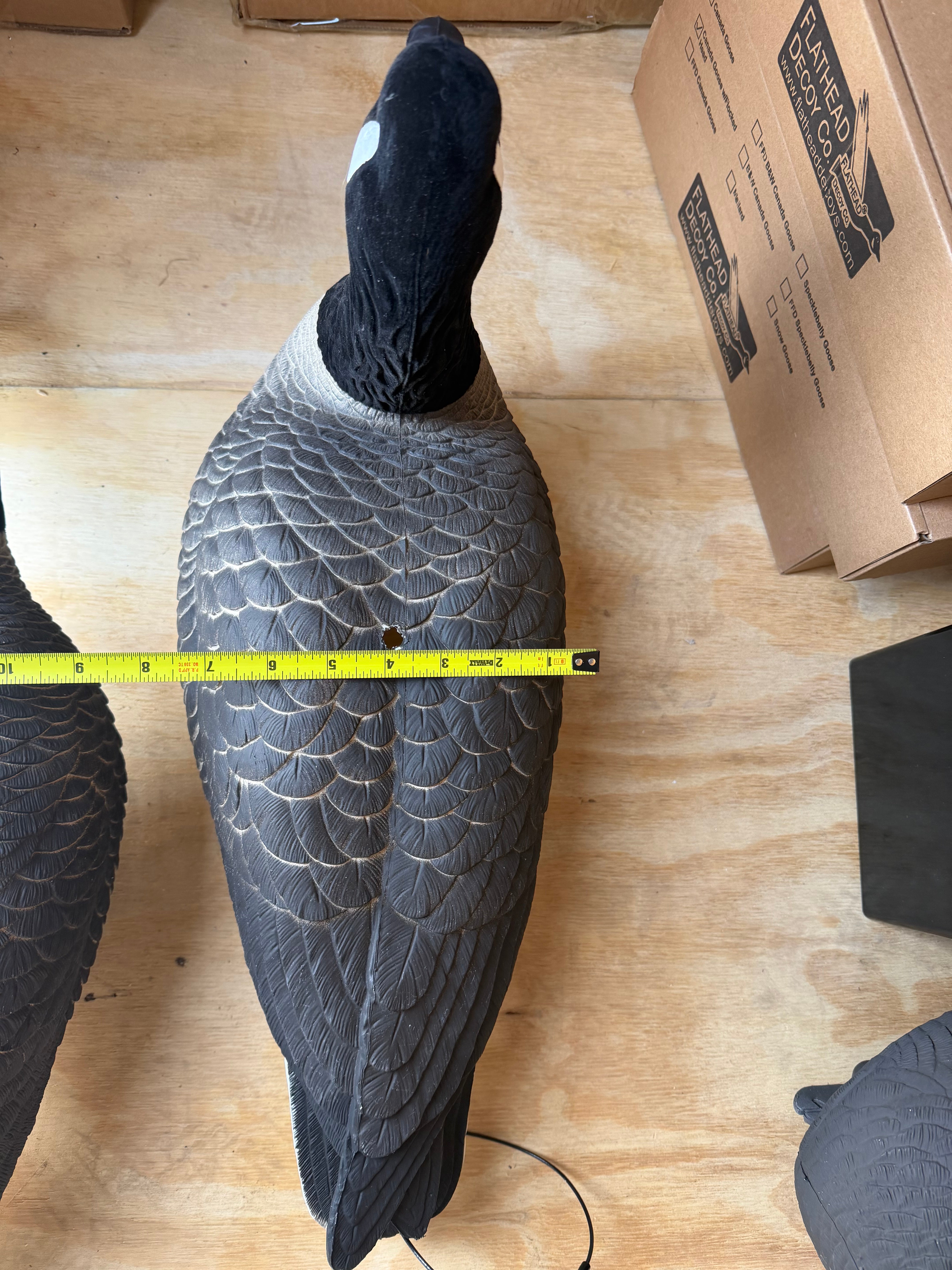 Full Body Canada Goose “Lesser” Decoys "EVA Plastic" (flexible body) - ”Per Dozen"