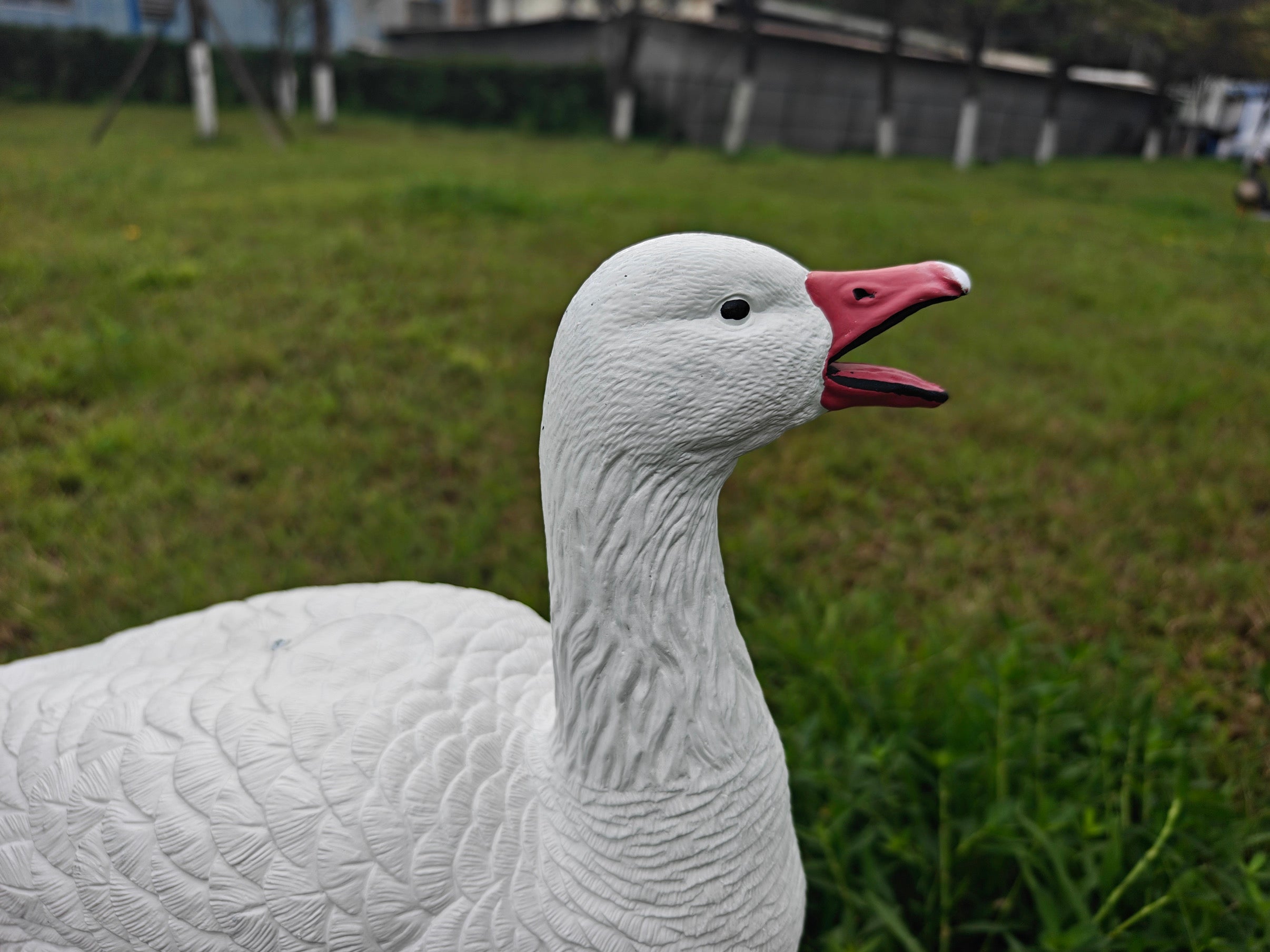 Full Body "Open Mouth" Snow Goose Decoys "PE Plastic" (hard body) - "Per 4-Pack"
