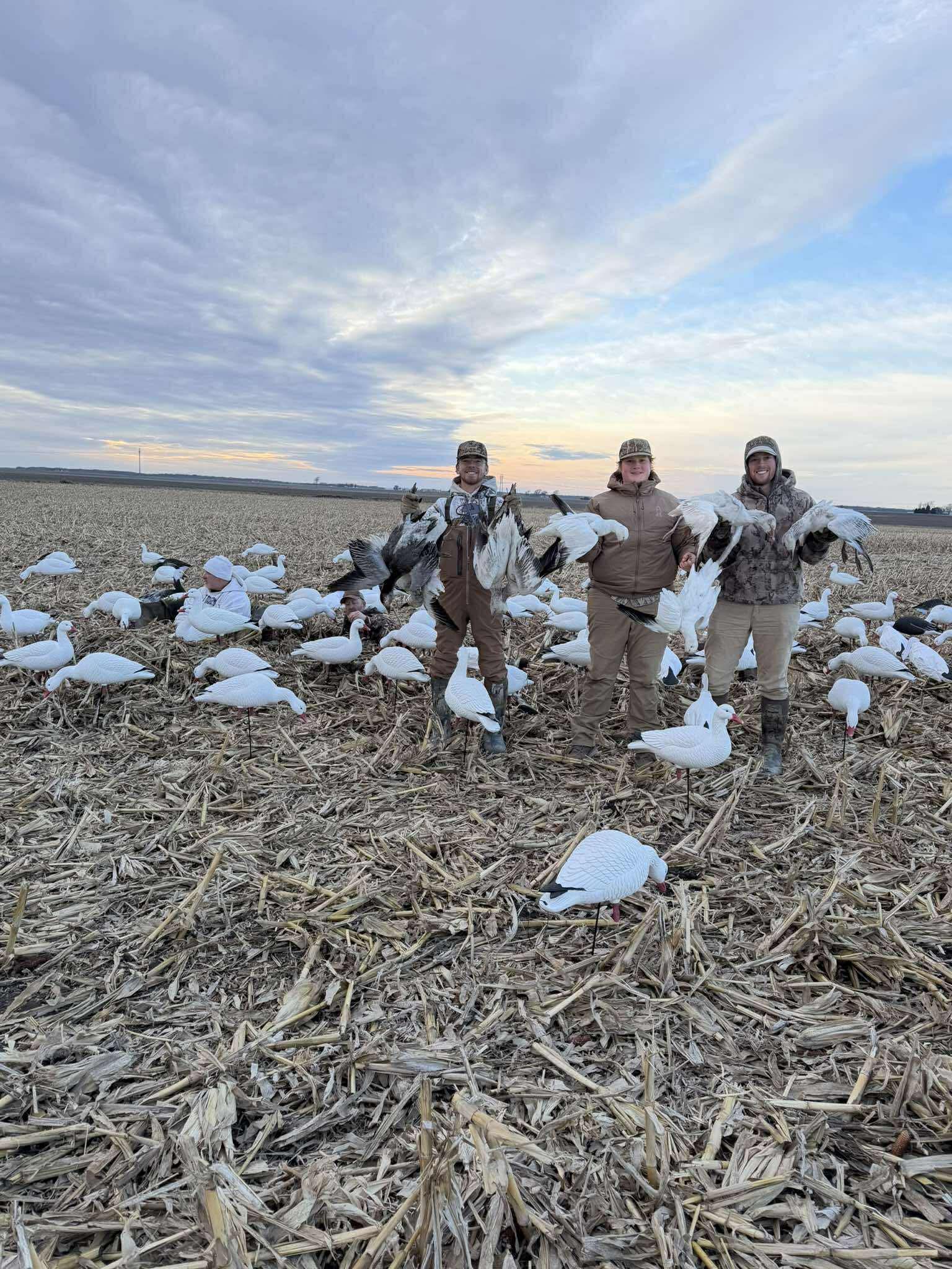 Full Body Snow Goose Decoys "PE Plastic" (hard body) with Square Bases - "Per 6-Pack"