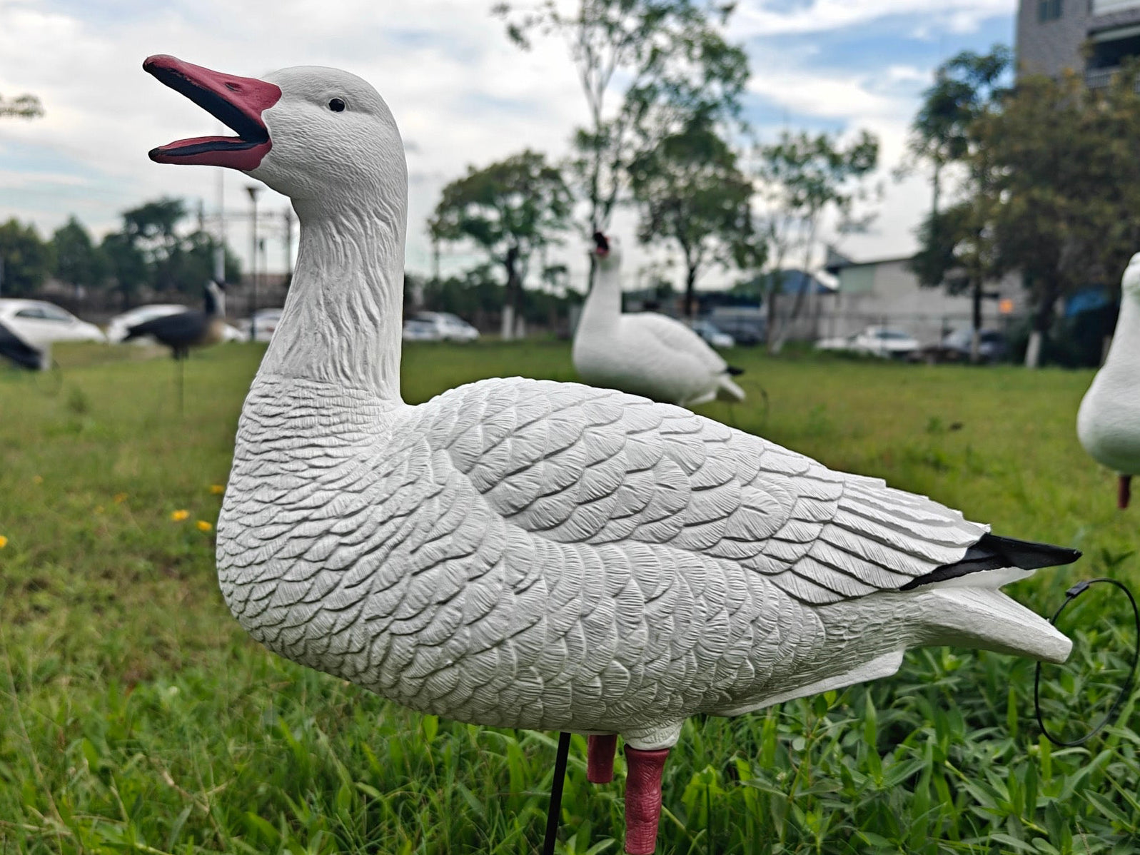 *PRE-ORDER SALE* Full Body "Open Mouth" Snow Goose Decoys "PE Plastic" (hard body) - "Per 4-Pack"