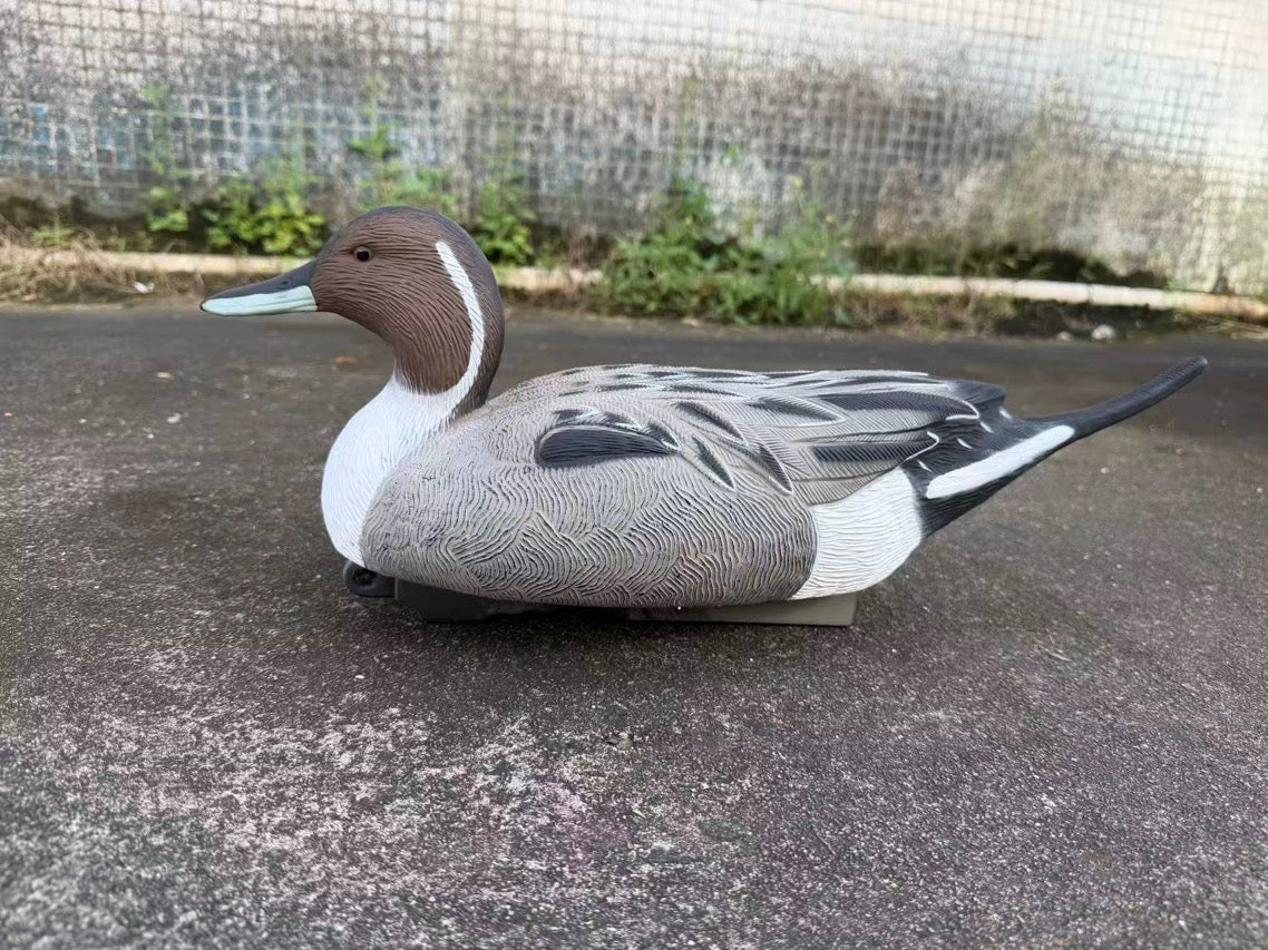 "Pre-Order Sale" Oversized Drake Pintail Duck - Floater Decoys “Per-Dozen”
