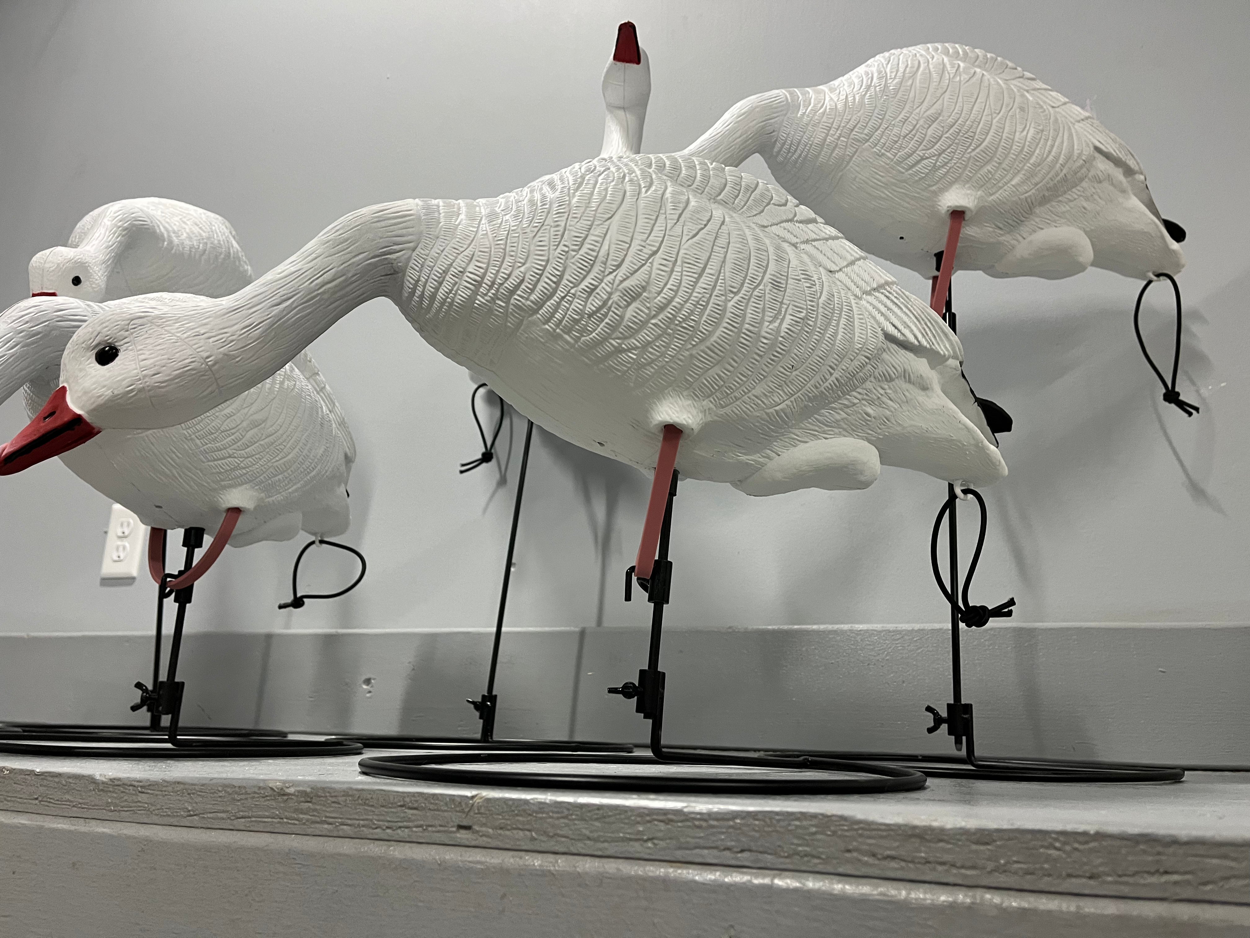 Full Body Snow Goose Decoys "PE PLASTIC" with Ring Bases - "Per 6-Pack