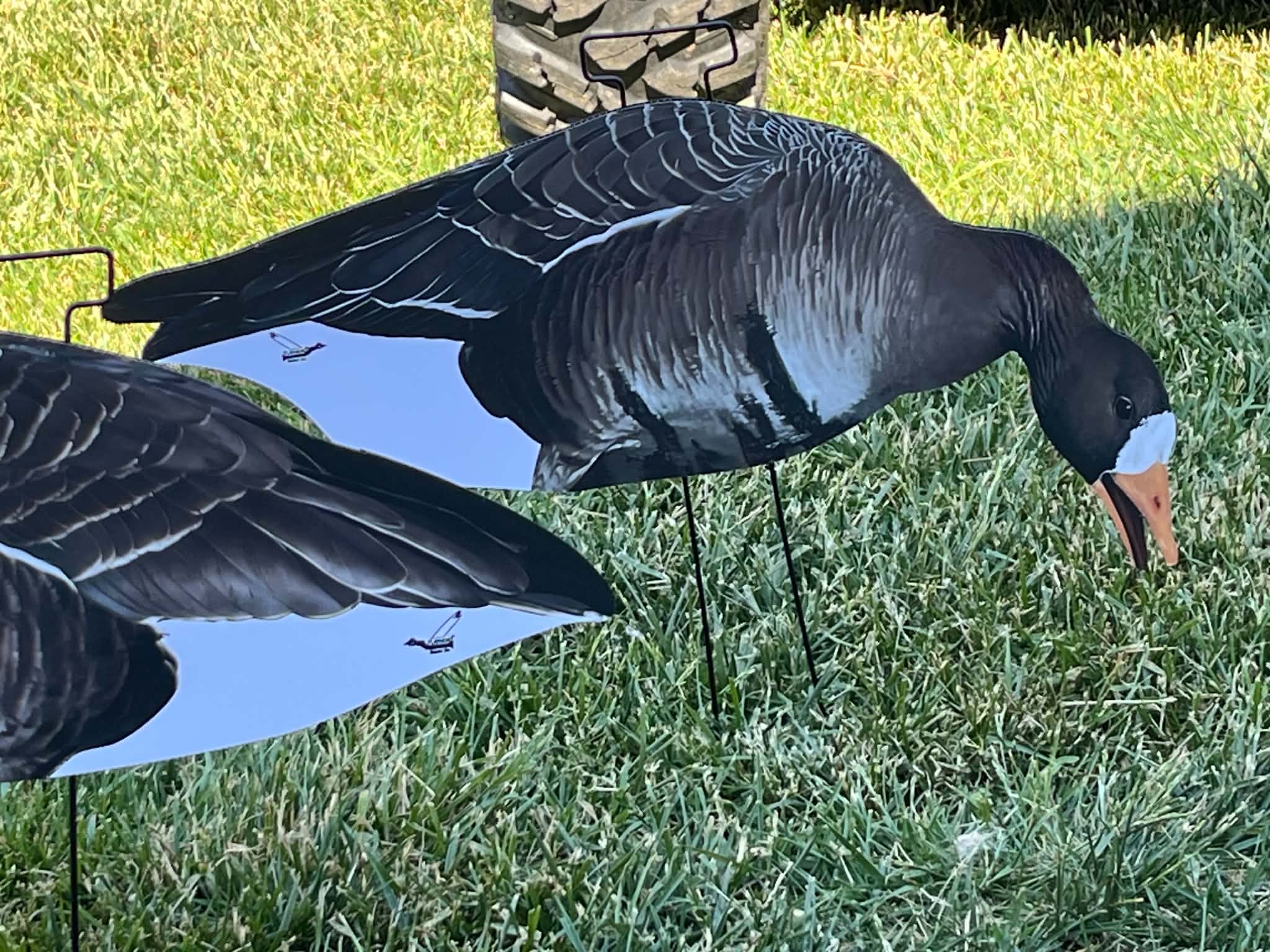 Specklebelly Goose Silhouette Decoys - "Per Dozen"