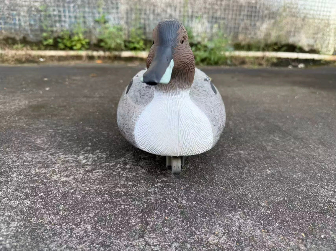 "Pre-Order Sale" Oversized Drake Pintail Duck - Floater Decoys “Per-Dozen”