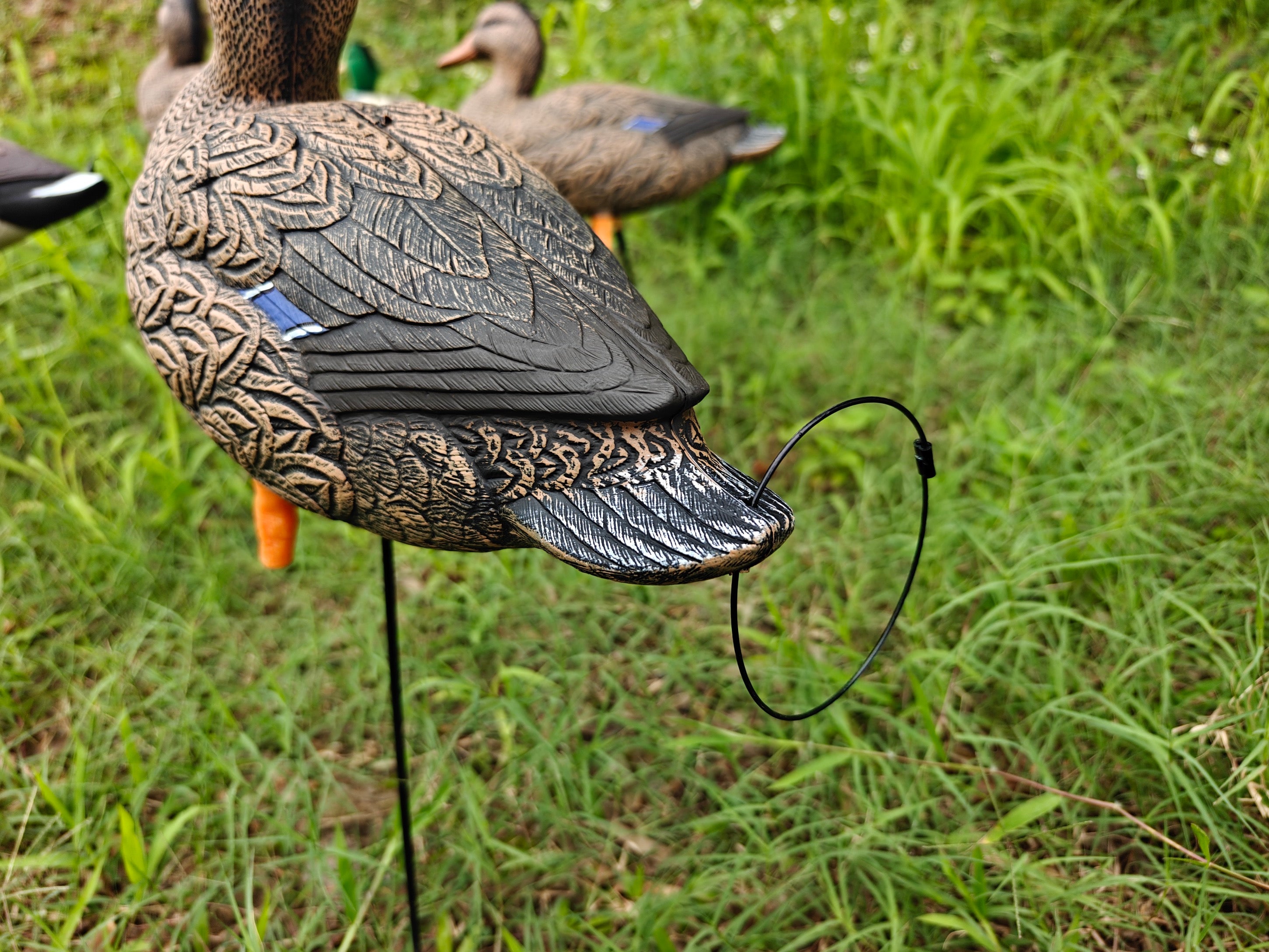 * PRE-ORDER SALE * "MAGNUM" Full Body Field Mallard Duck Decoys “PE Plastic” (hard body) FLOCKED HEADS ON DRAKES