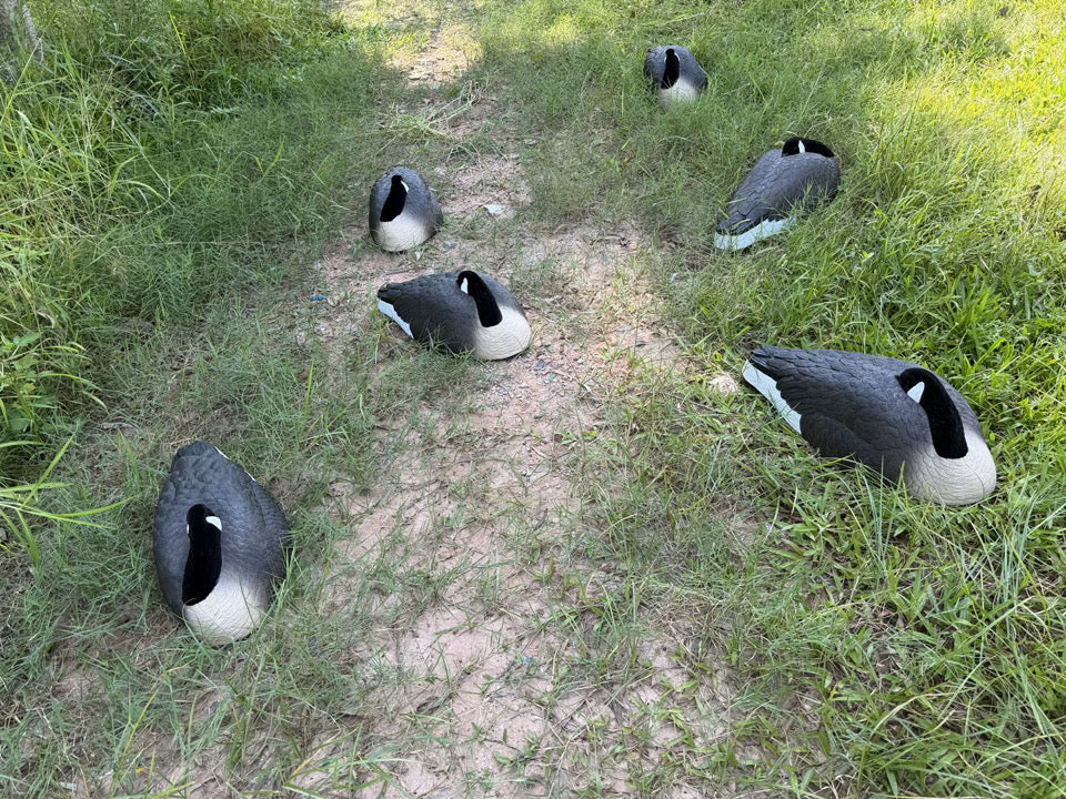 *PRE-ORDER SALE* Canada Goose Sleeper Shells "Per 6-Pack"