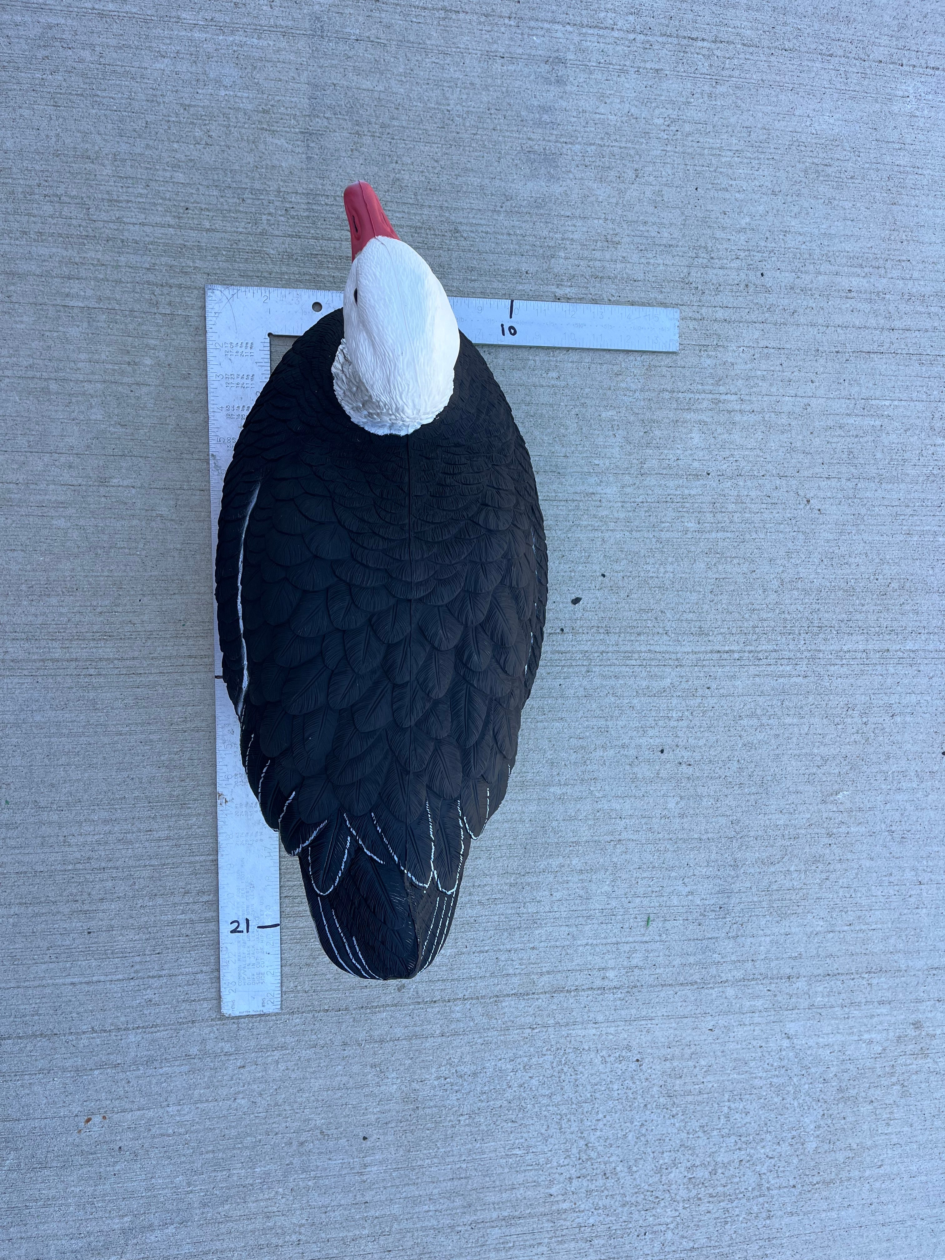 "Pre-Order Sale" Blue Goose Floater Decoys