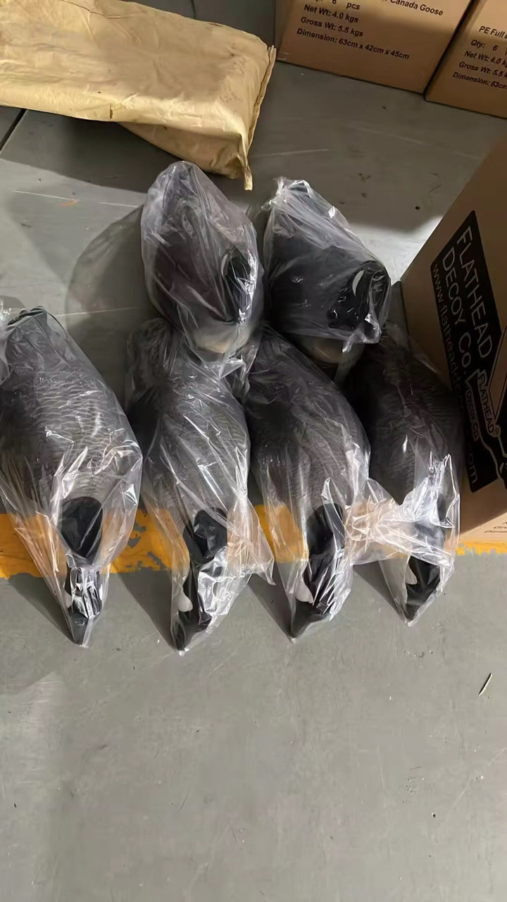Full Body "Lesser" Canada Goose Decoys "PE Plastic" (hard body) - "Per 6-Pack"
