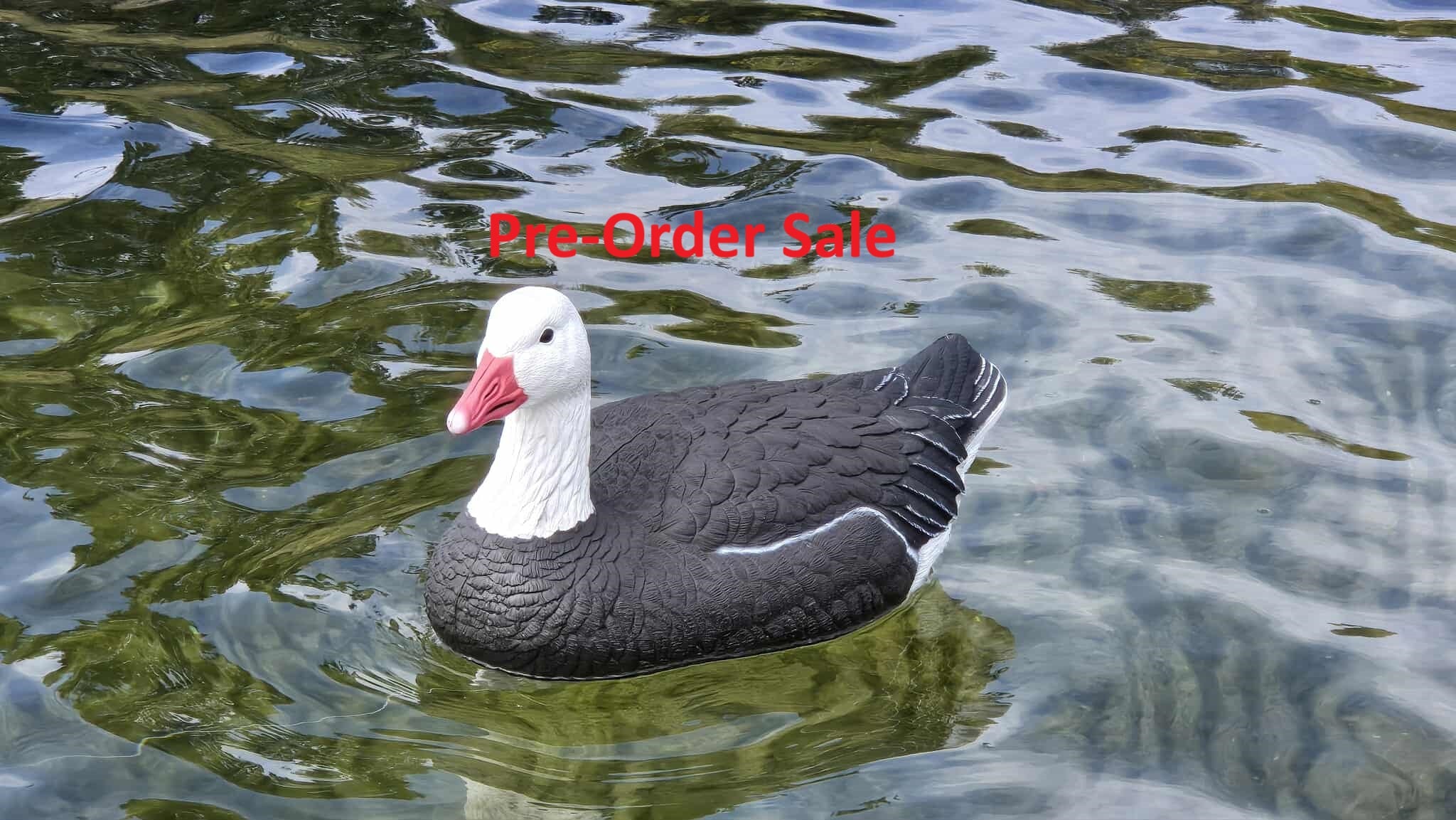 "Pre-Order Sale" Blue Goose Floater Decoys