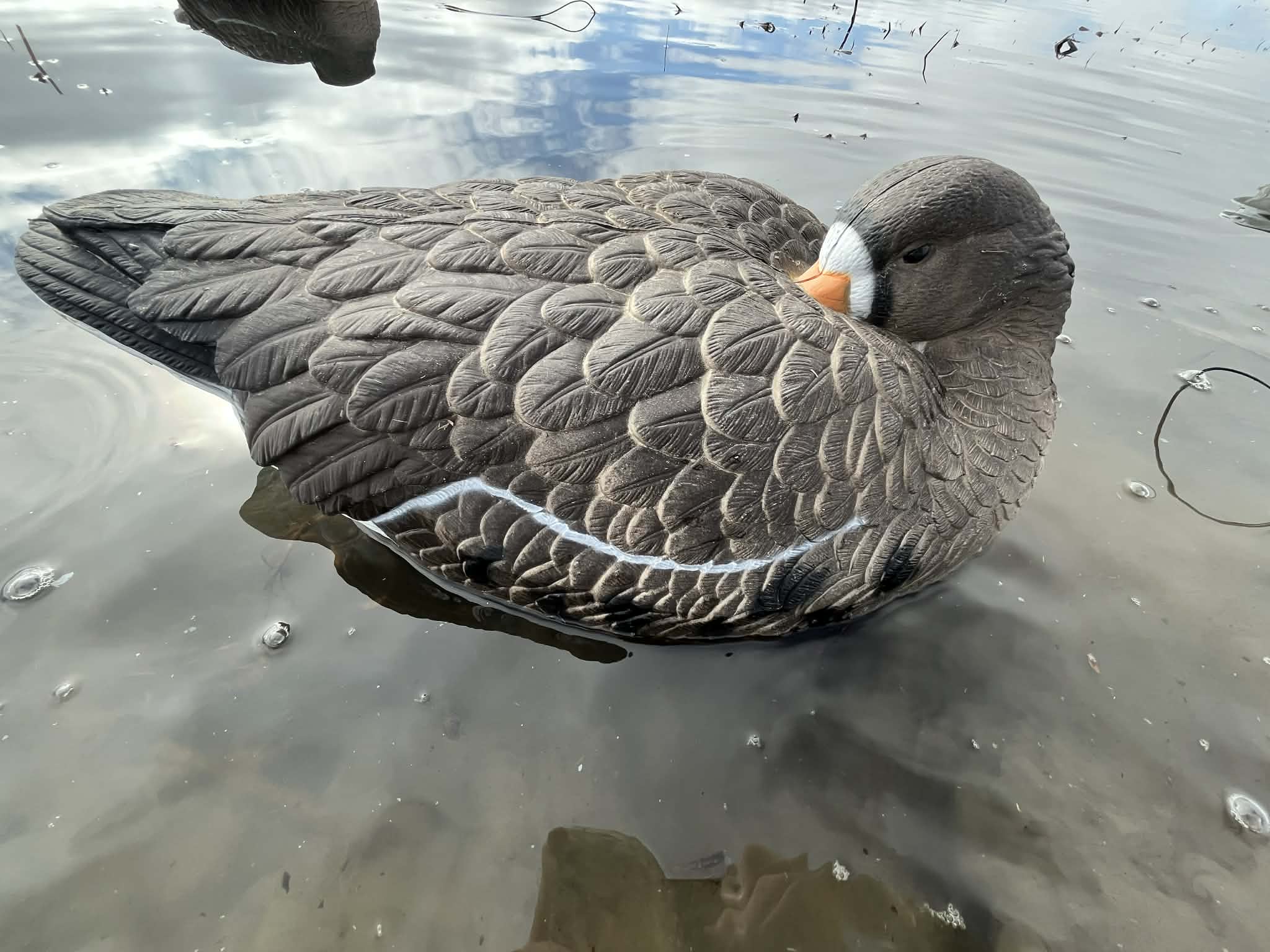 Specklebelly Goose Sleeper Floater Decoy "PE Plastic" (hard body) “Per 6-Pack”