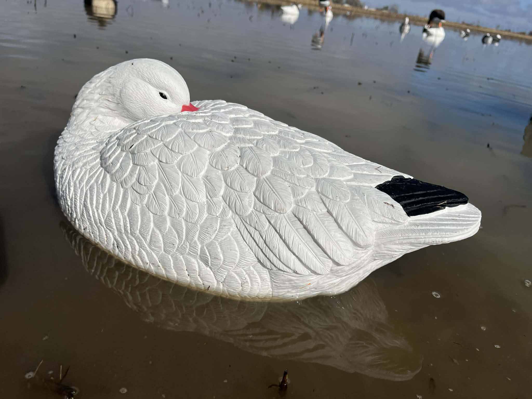 Snow Goose Sleeper Floater Decoys "PE Plastic" (hard body) "6-Pack"