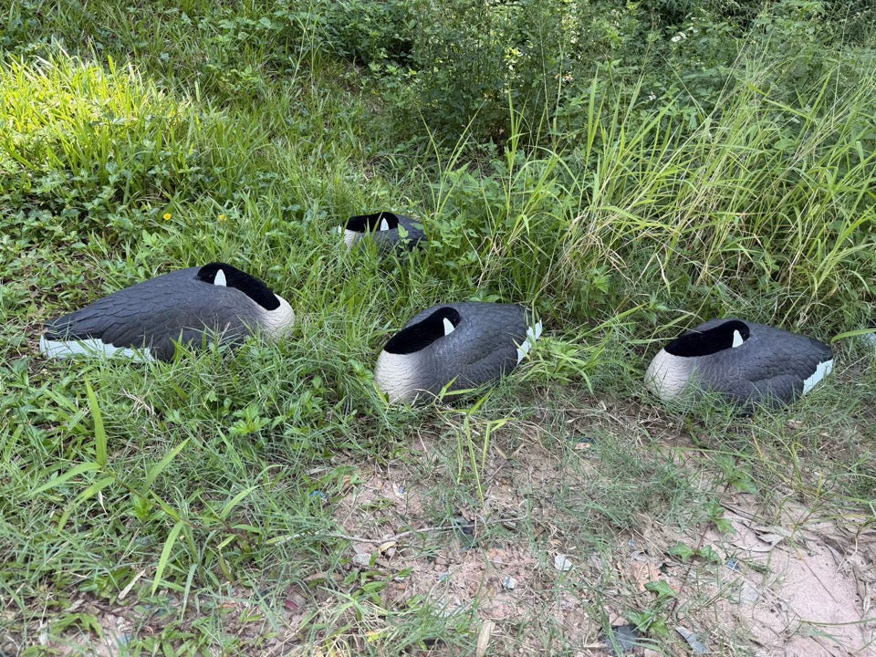 *PRE-ORDER SALE* Canada Goose Sleeper Shells "Per 6-Pack"