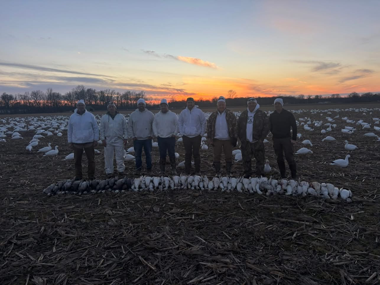 Full Body Snow Goose Decoys "PE Plastic" (hard body) with Square Bases - "Per 6-Pack"