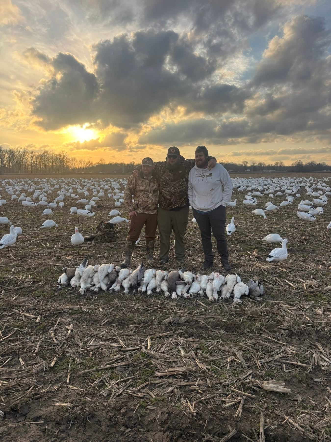 Full Body Snow Goose Decoys "PE Plastic" (hard body) with Square Bases - "Per 6-Pack"