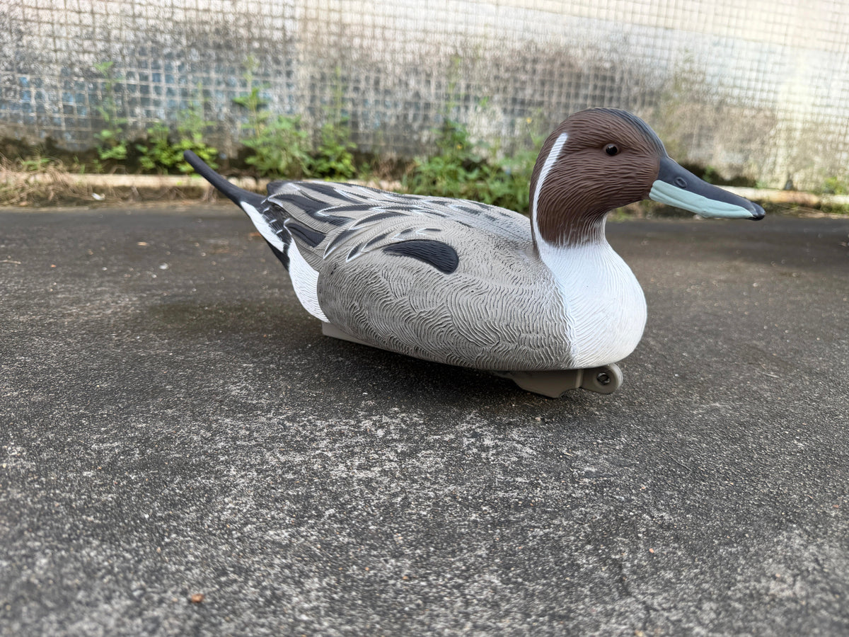 "Pre-Order Sale" Oversized Drake Pintail Duck - Floater Decoys “Per-Dozen”