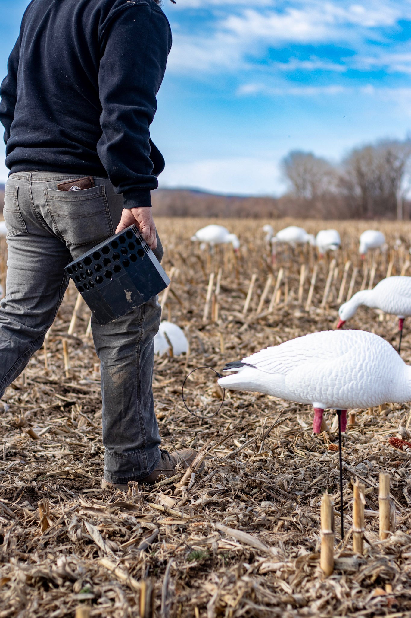 Full Body Snow Goose Decoys "PE Plastic" (hard body) with Square Bases - "Per 6-Pack"