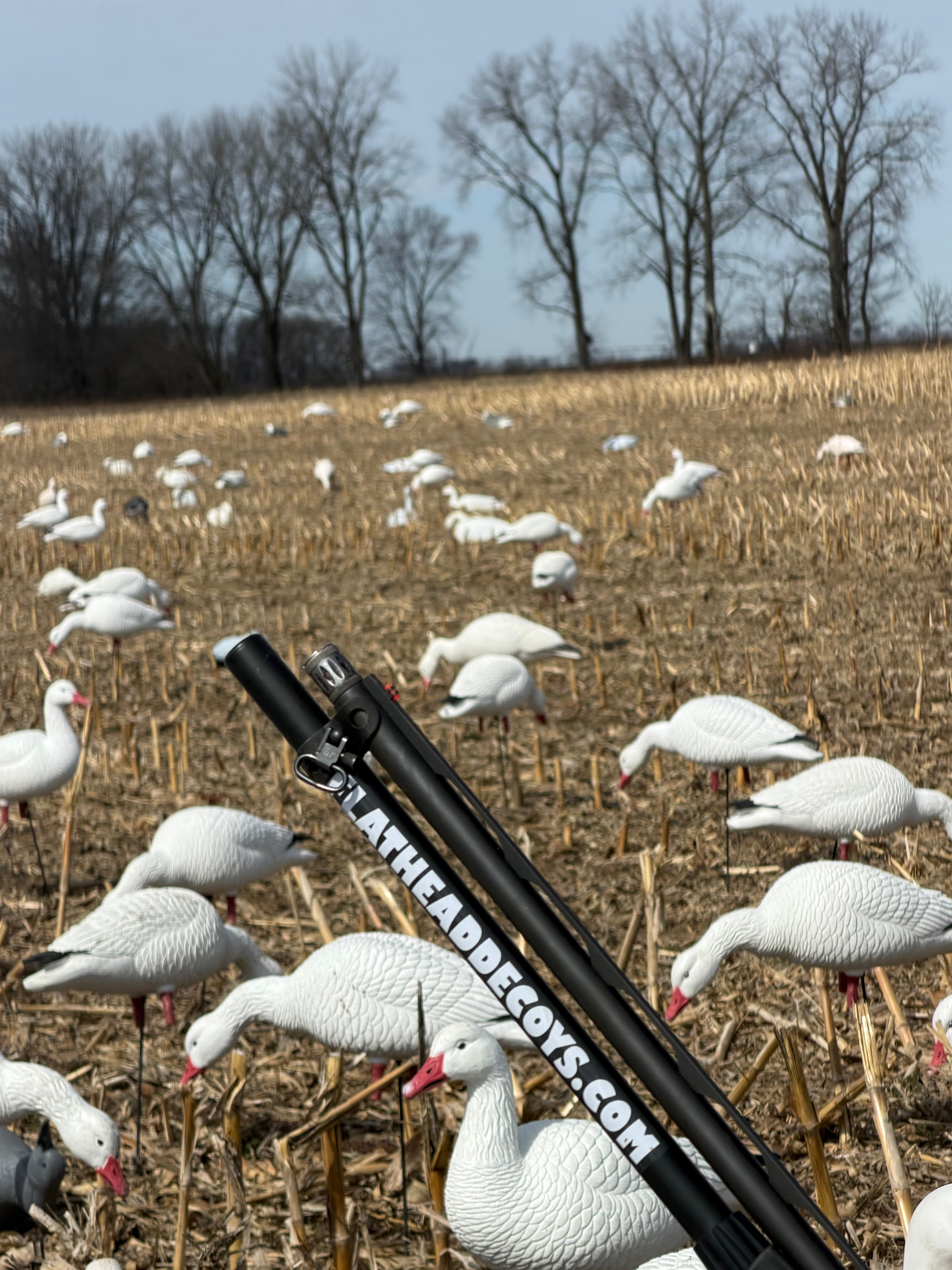 Full Body Snow Goose Decoys "PE Plastic" (hard body) with Square Bases - "Per 6-Pack"
