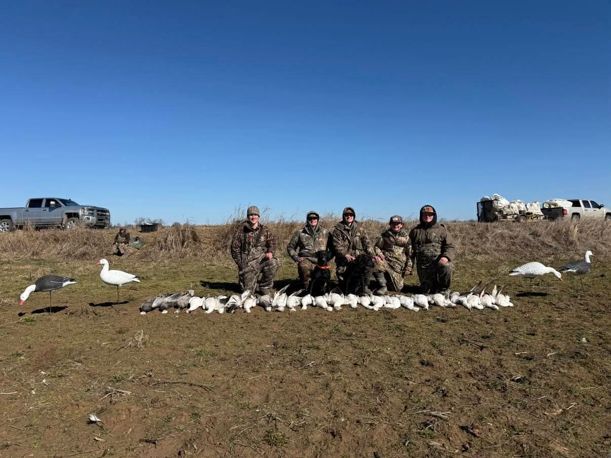 Full Body Snow Goose Decoys "PE Plastic" (hard body) with Square Bases - "Per 6-Pack"