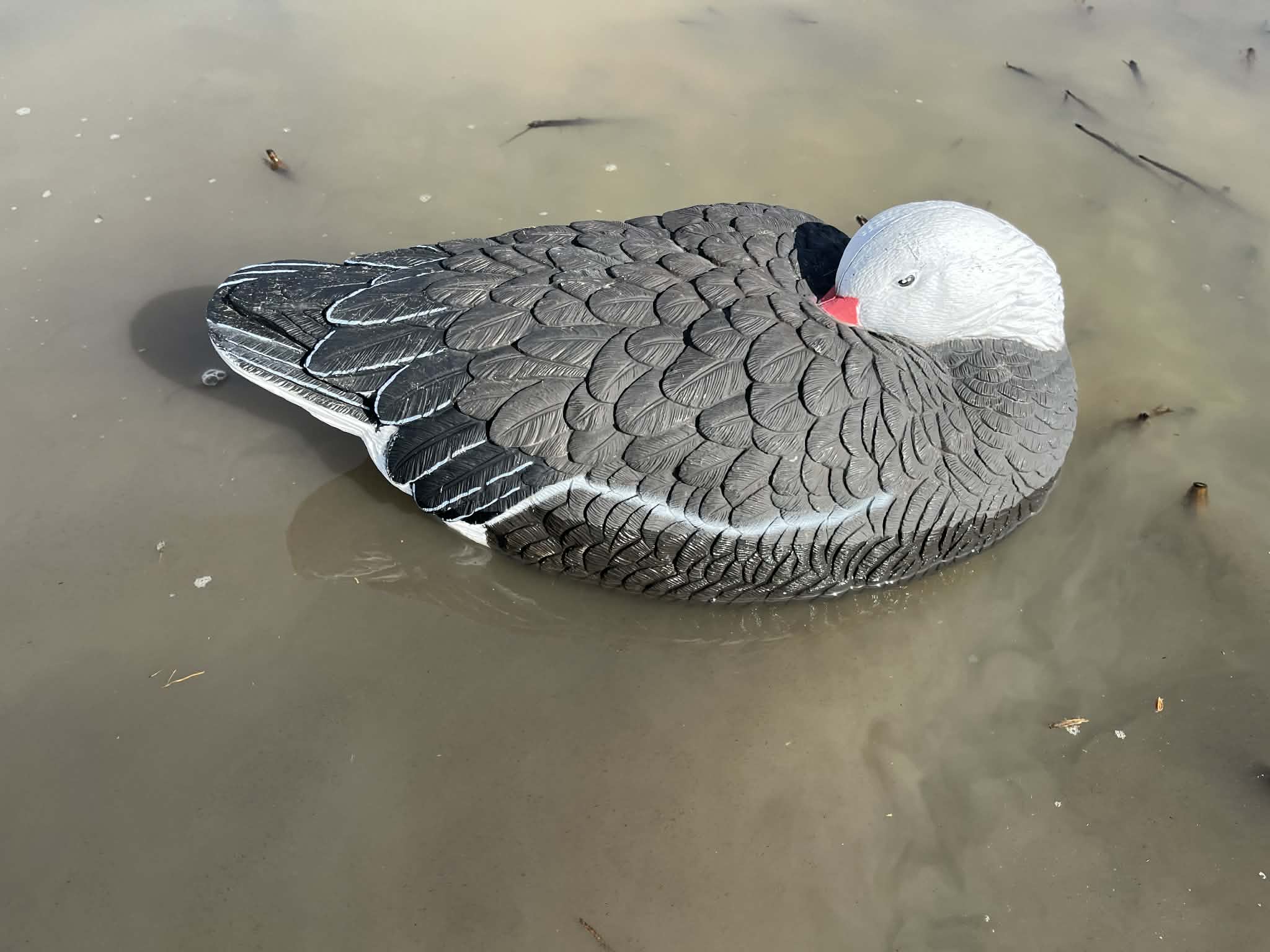Blue Goose Floater Sleeper Decoy "PE Plastic" (hard body) "Per 6-Pack"