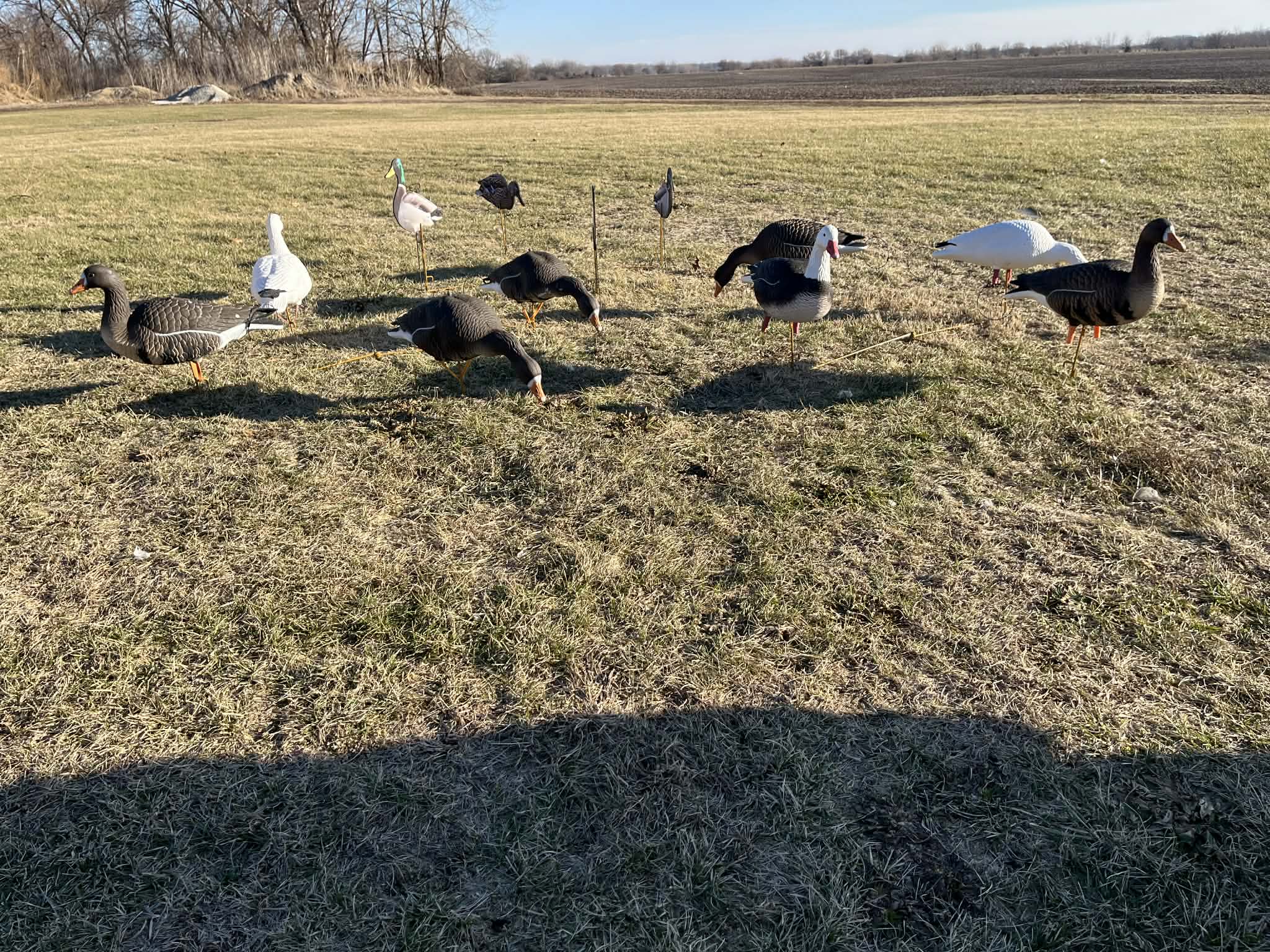 RAPID RACK - Decoy Deployment System (3-Pack - holds 12 decoys)